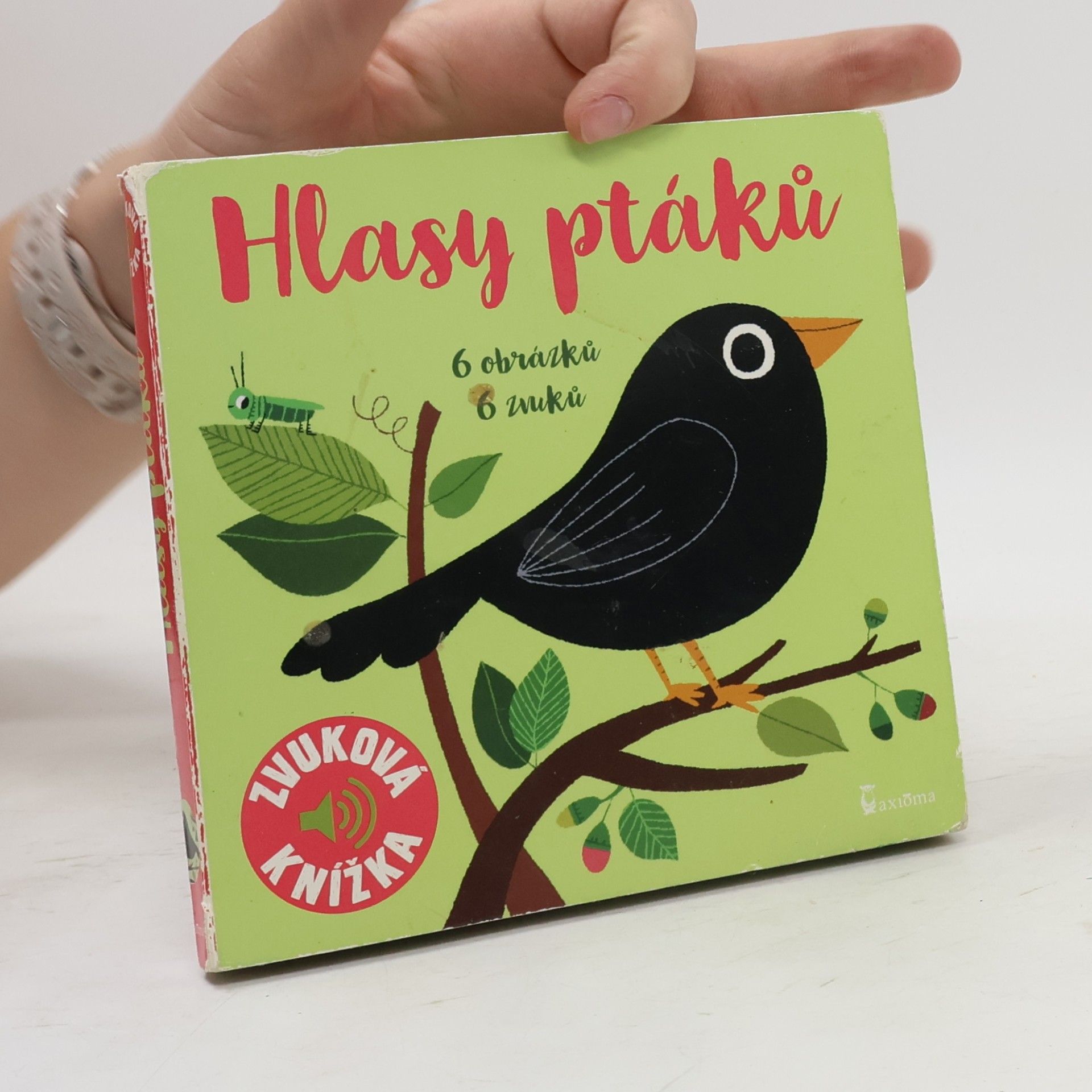 Marion Billet Hlasy ptáků