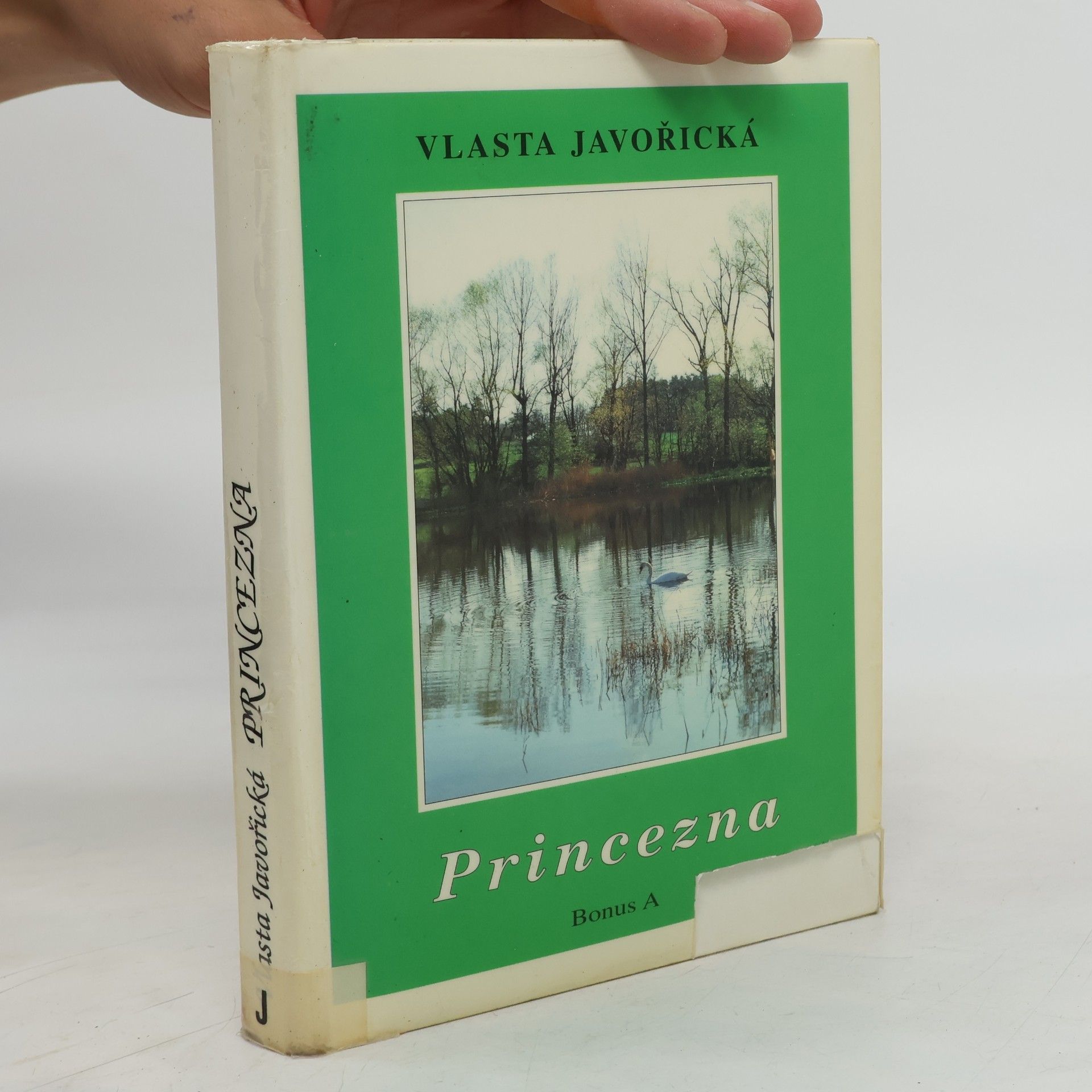 Vlasta Javořická Princezna : román dívky dvacátého století