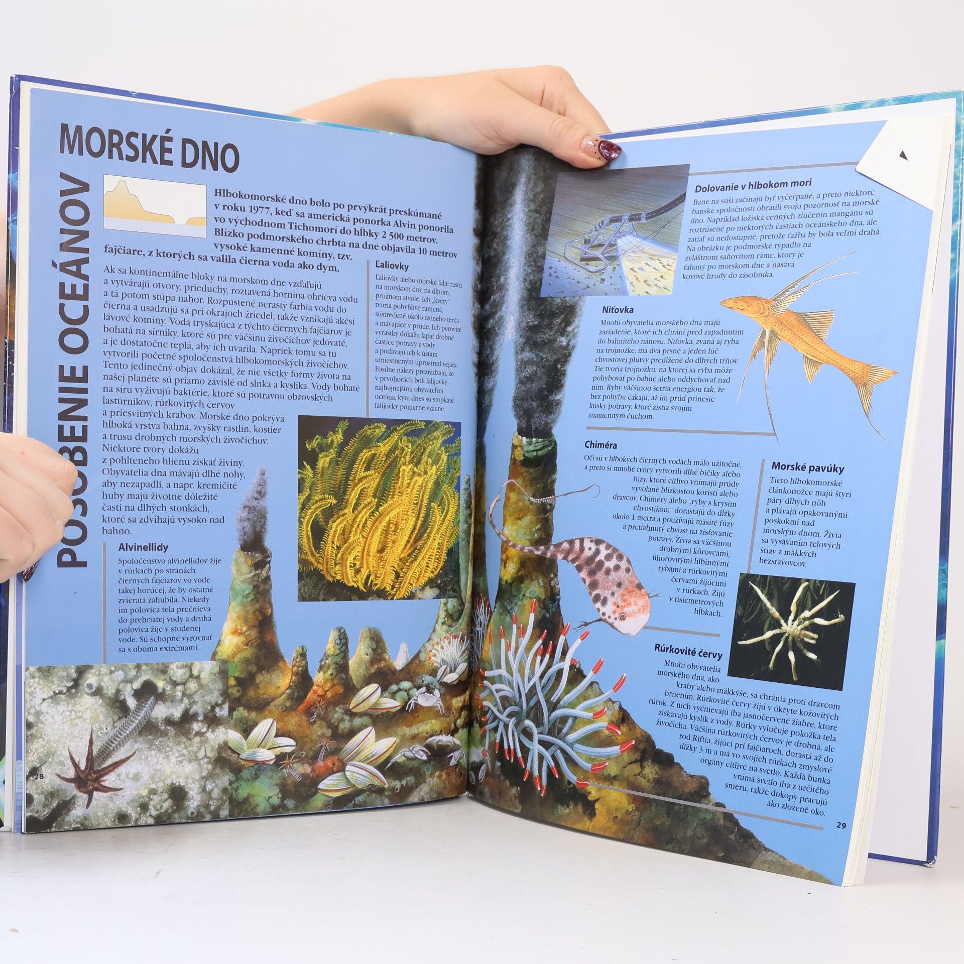 Linda Sonntag Oceány sveta : obrazový atlas