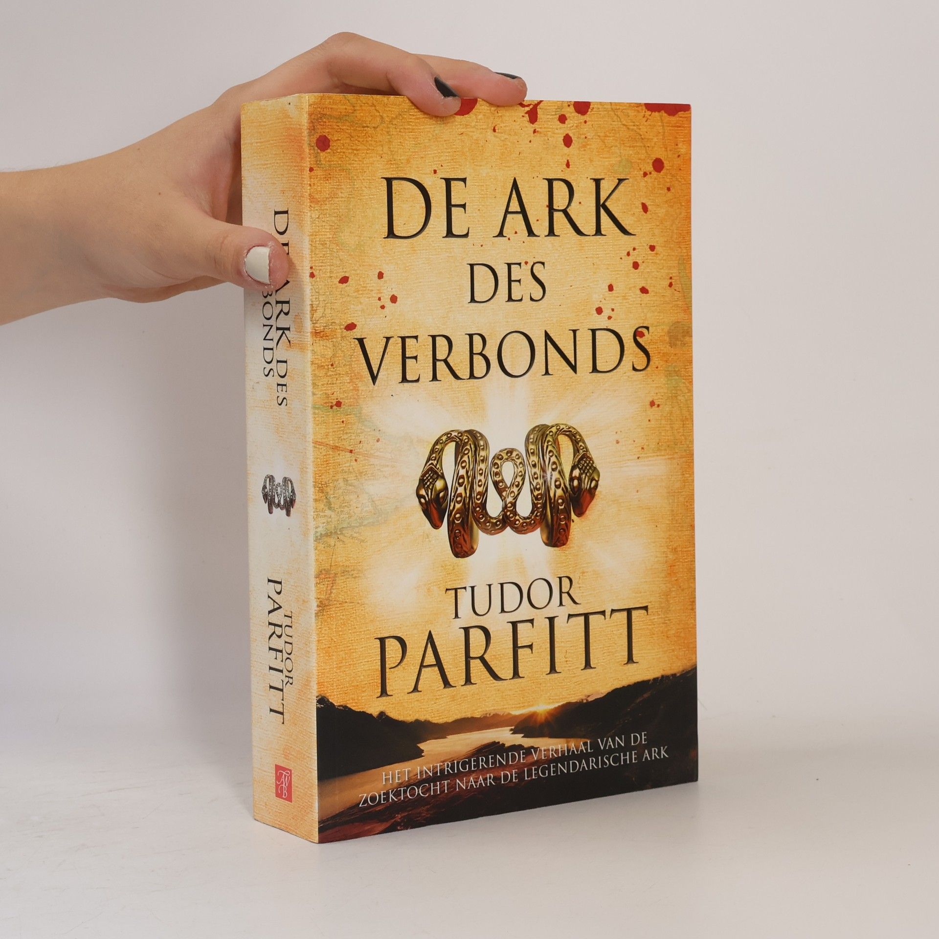 Hajo Geurink De Ark des Verbonds