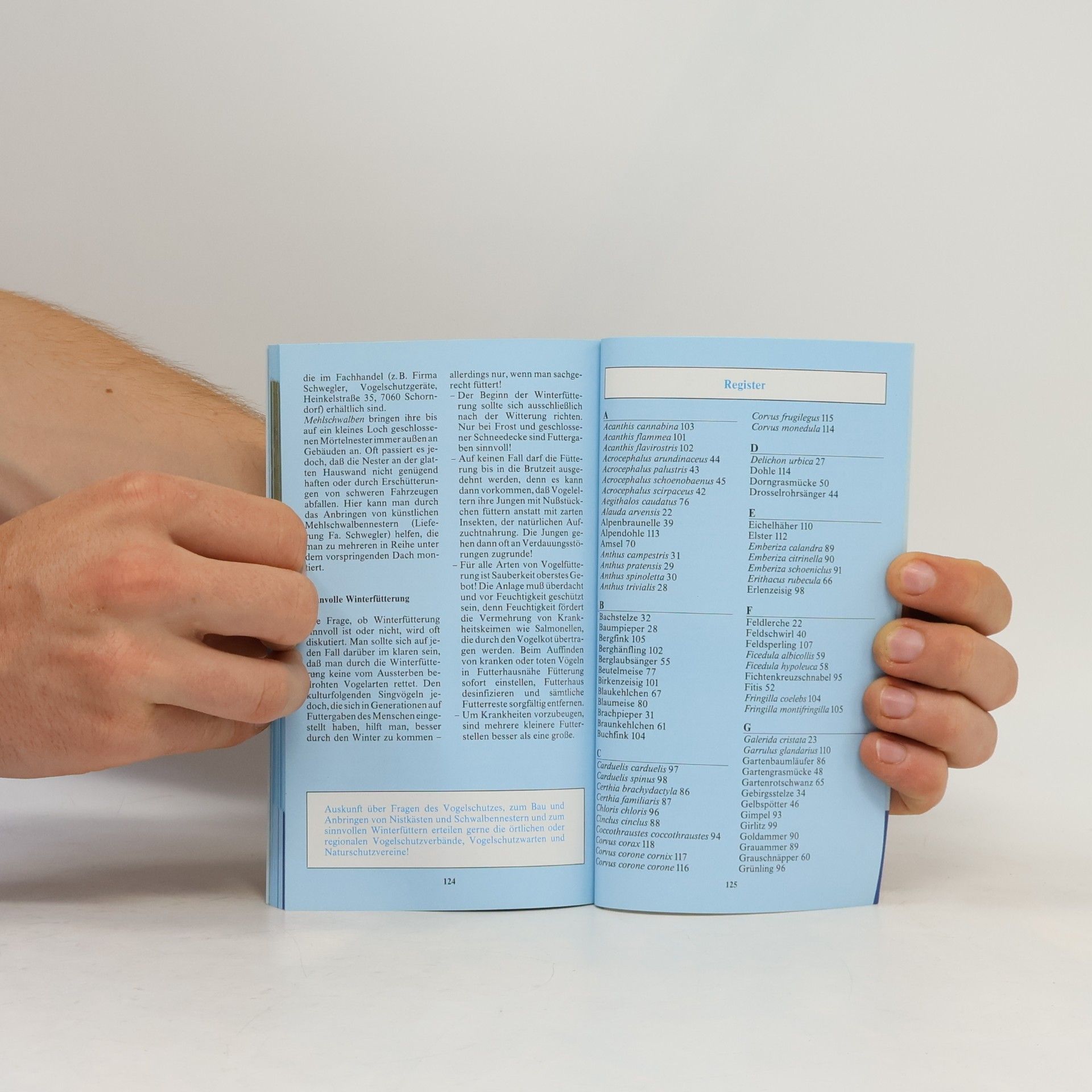 Jean C. Roché Alle Vögel sind schon da. Bestimmungsbuch und CD. Unsere Singvögel in Wort, Bild und Ton.