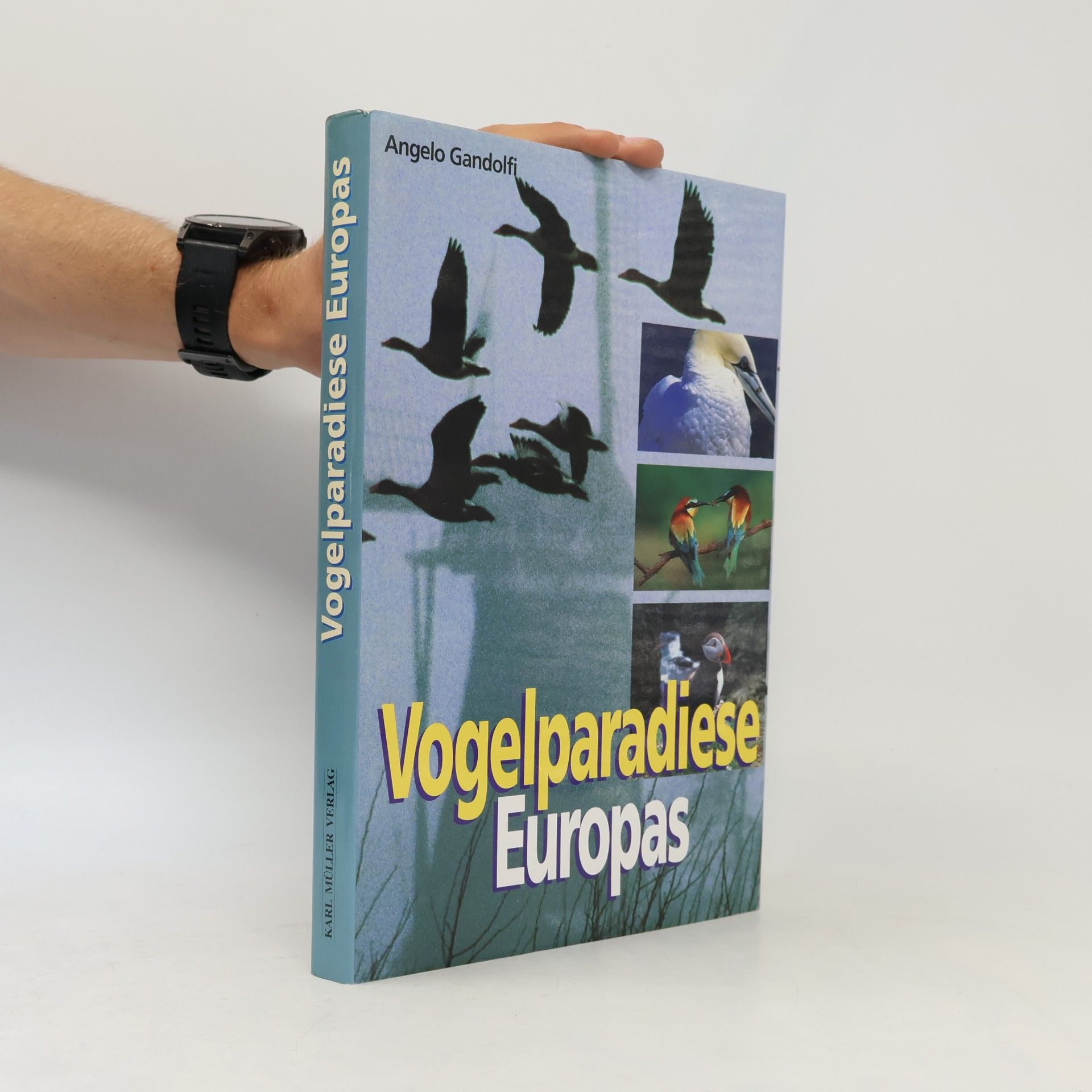Angelo Gandolfi Vogelparadiese Europas