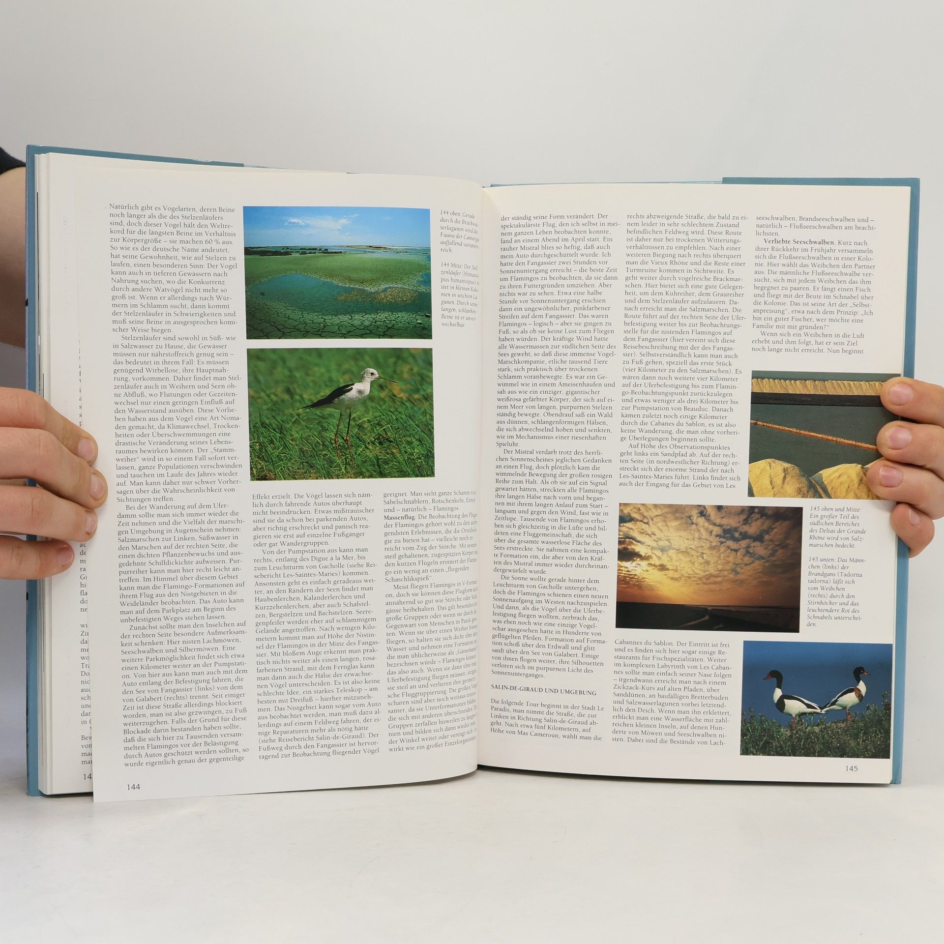 Angelo Gandolfi Vogelparadiese Europas