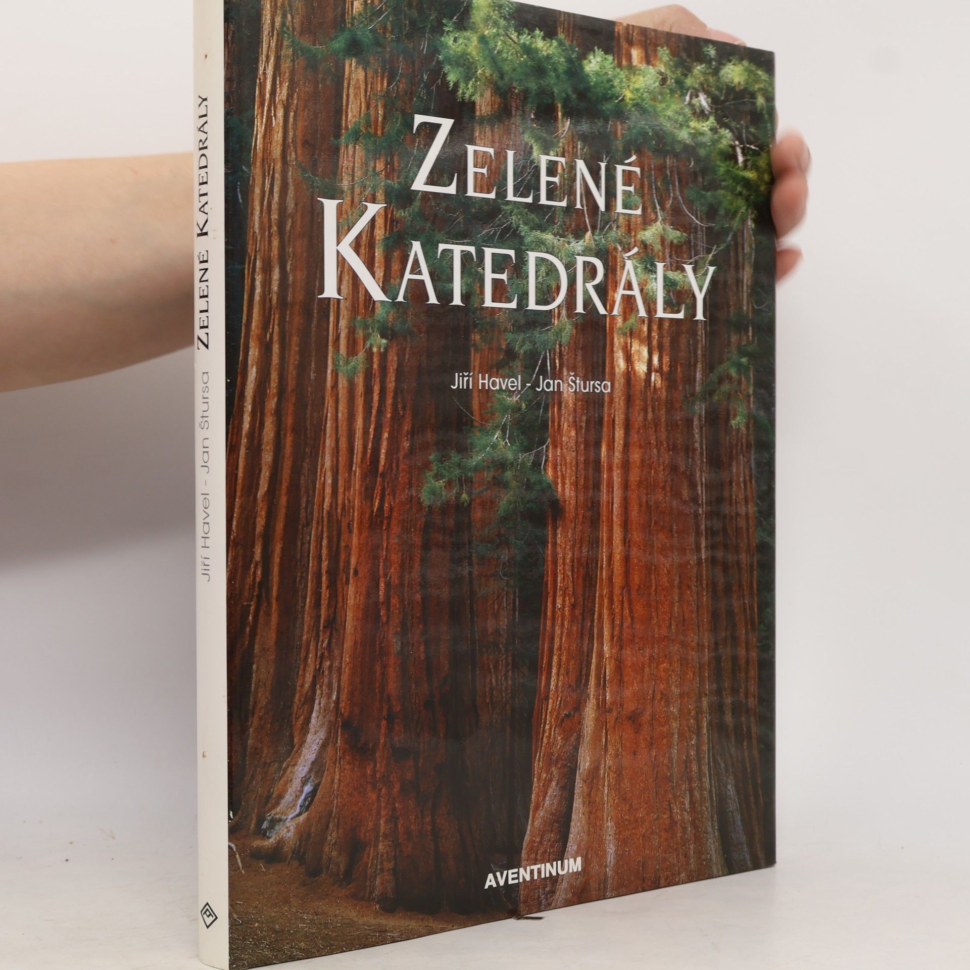 Jan Štursa Zelené katedrály