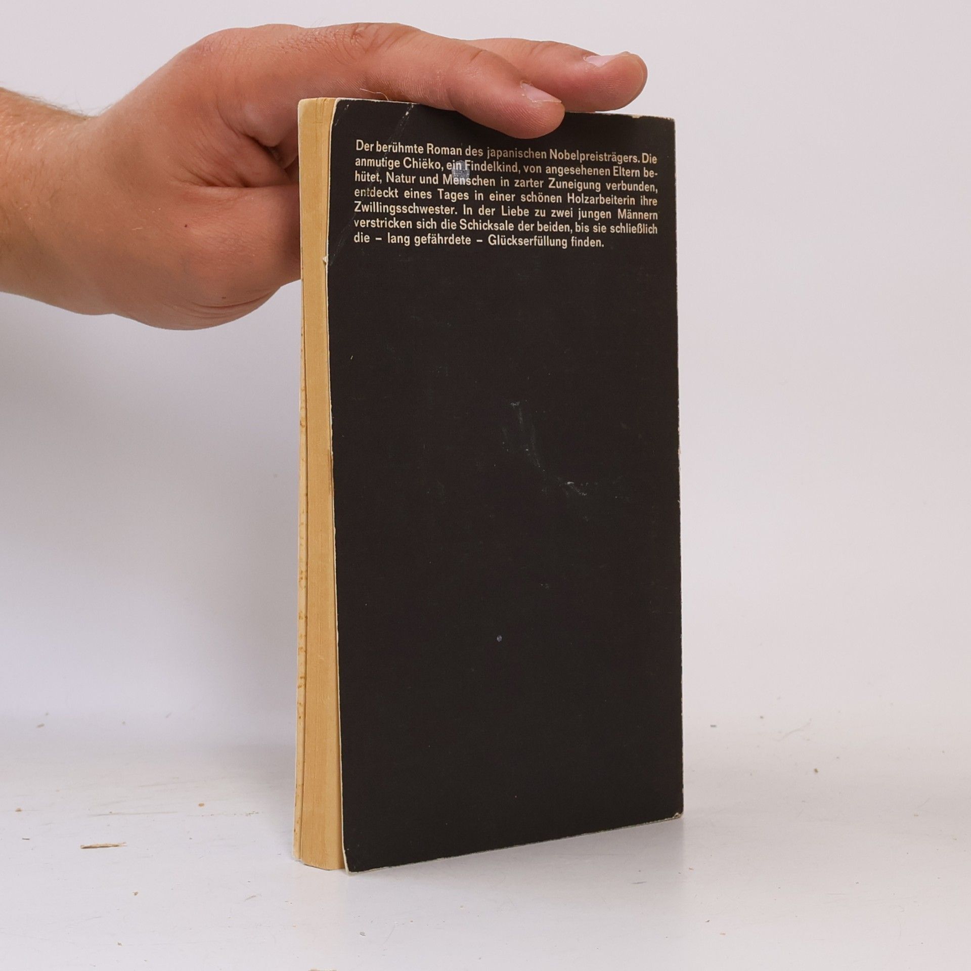 Jasunari Kawabata Kyōto oder Die jungen Liebenden in der alten Kaiserstadt
