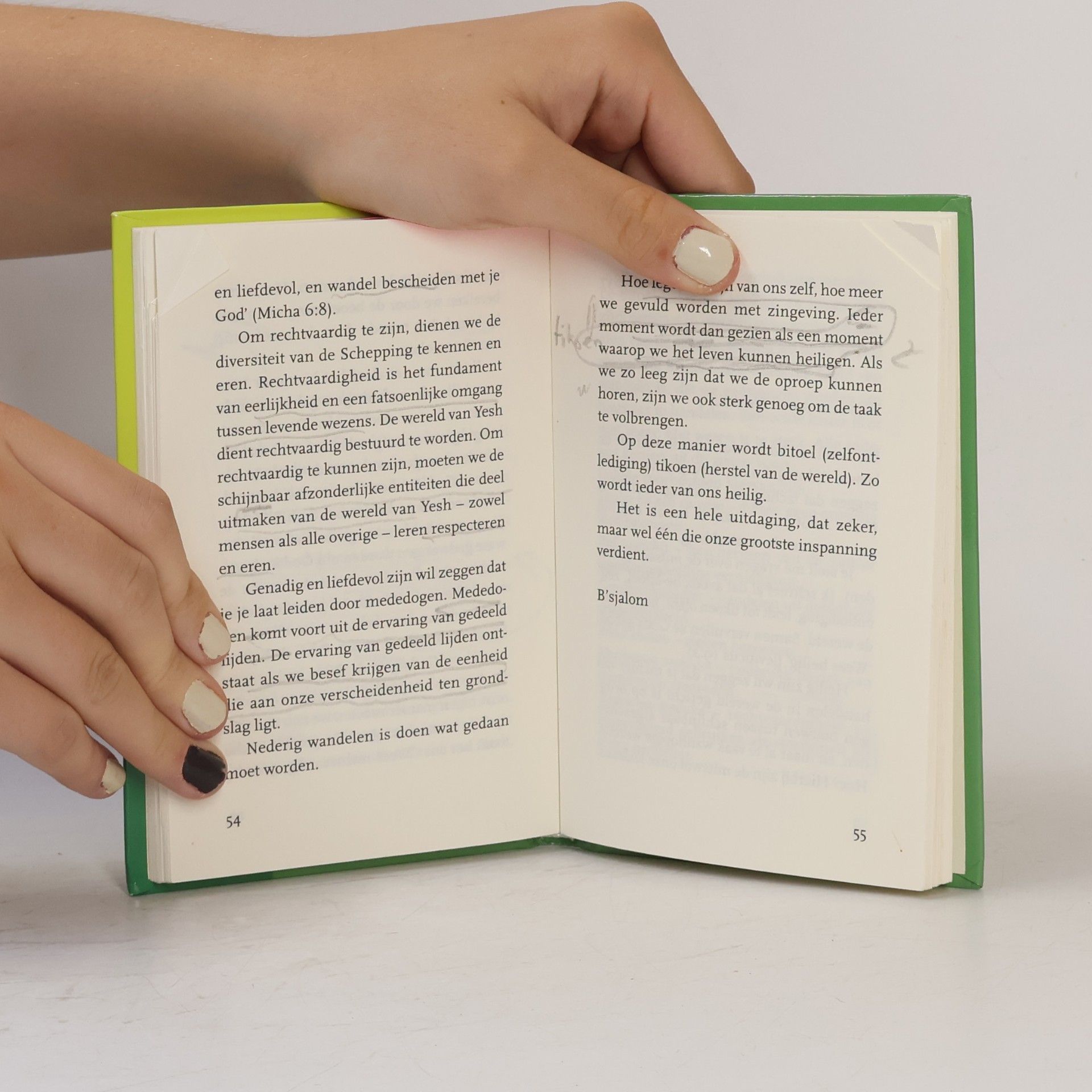 Rami M. Shapiro Open geheimen