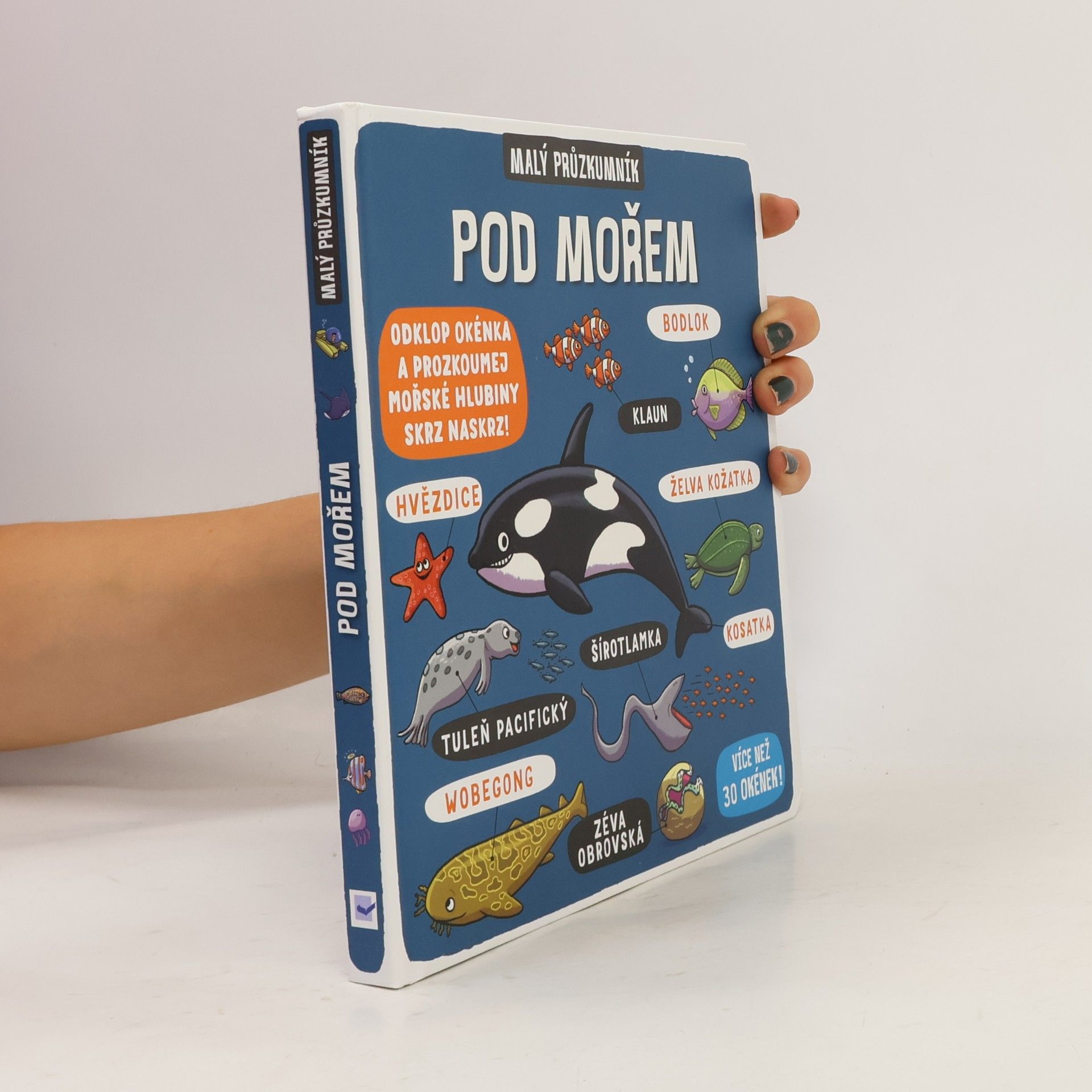 Kolektiv autorů Pod mořem