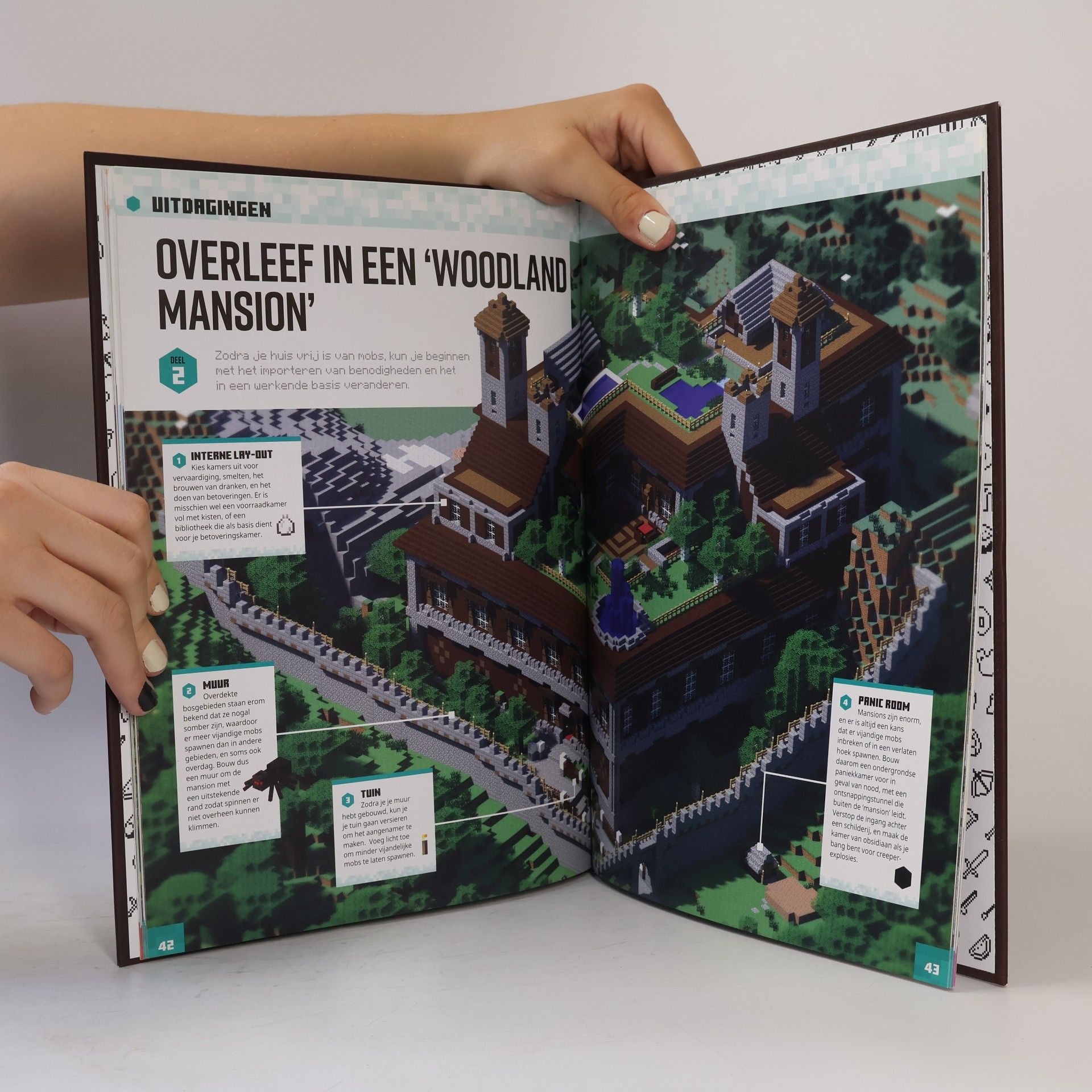 Stephanie Milton Jaarboek 2018 (Minecraft)