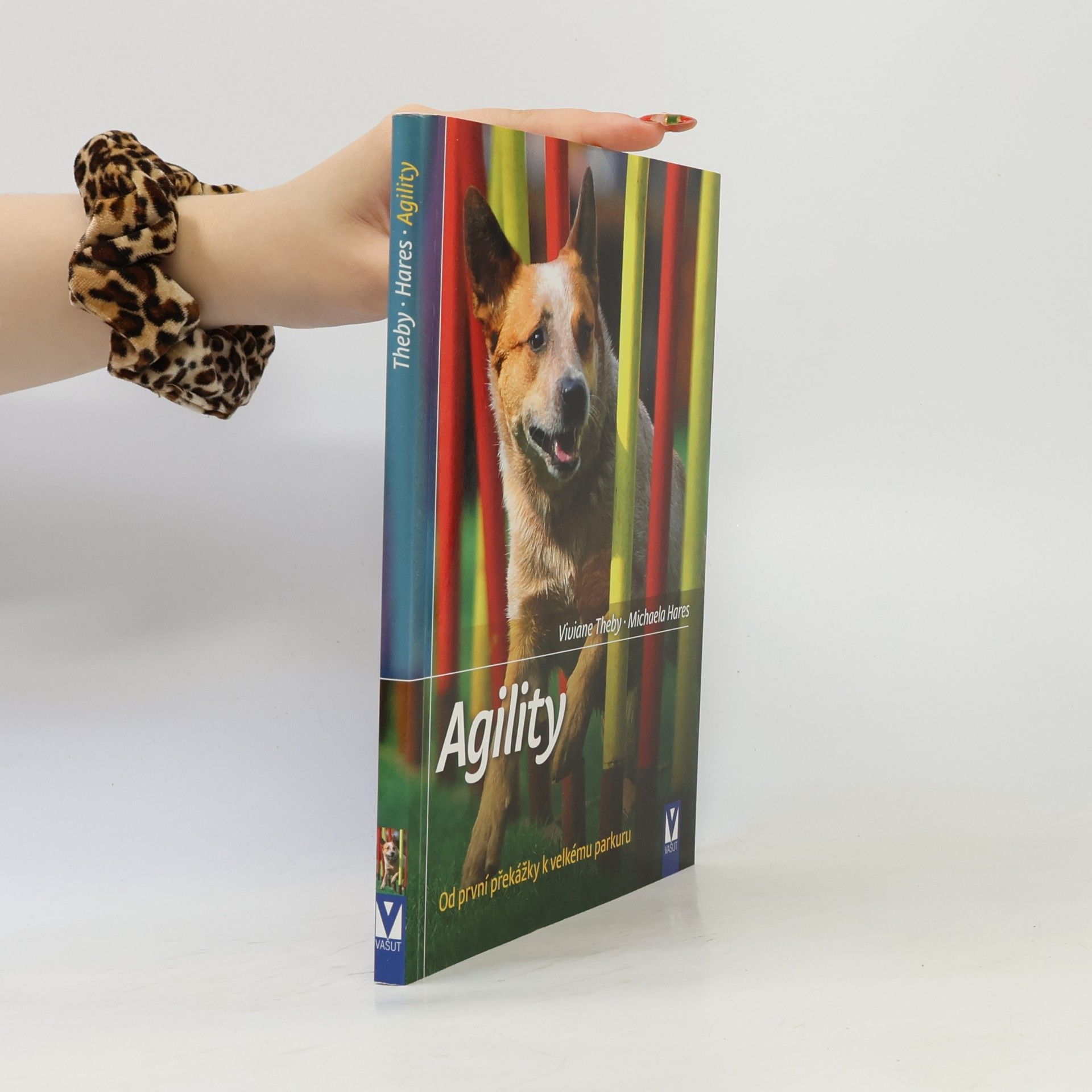 Michaela Hares Agility - Od první překážky k velkému parkuru