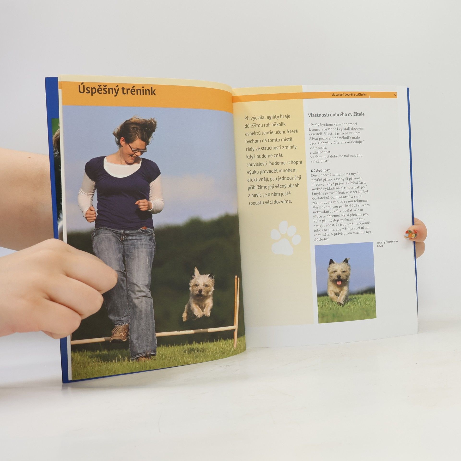Viviane Theby Agility - Od první překážky k velkému parkuru