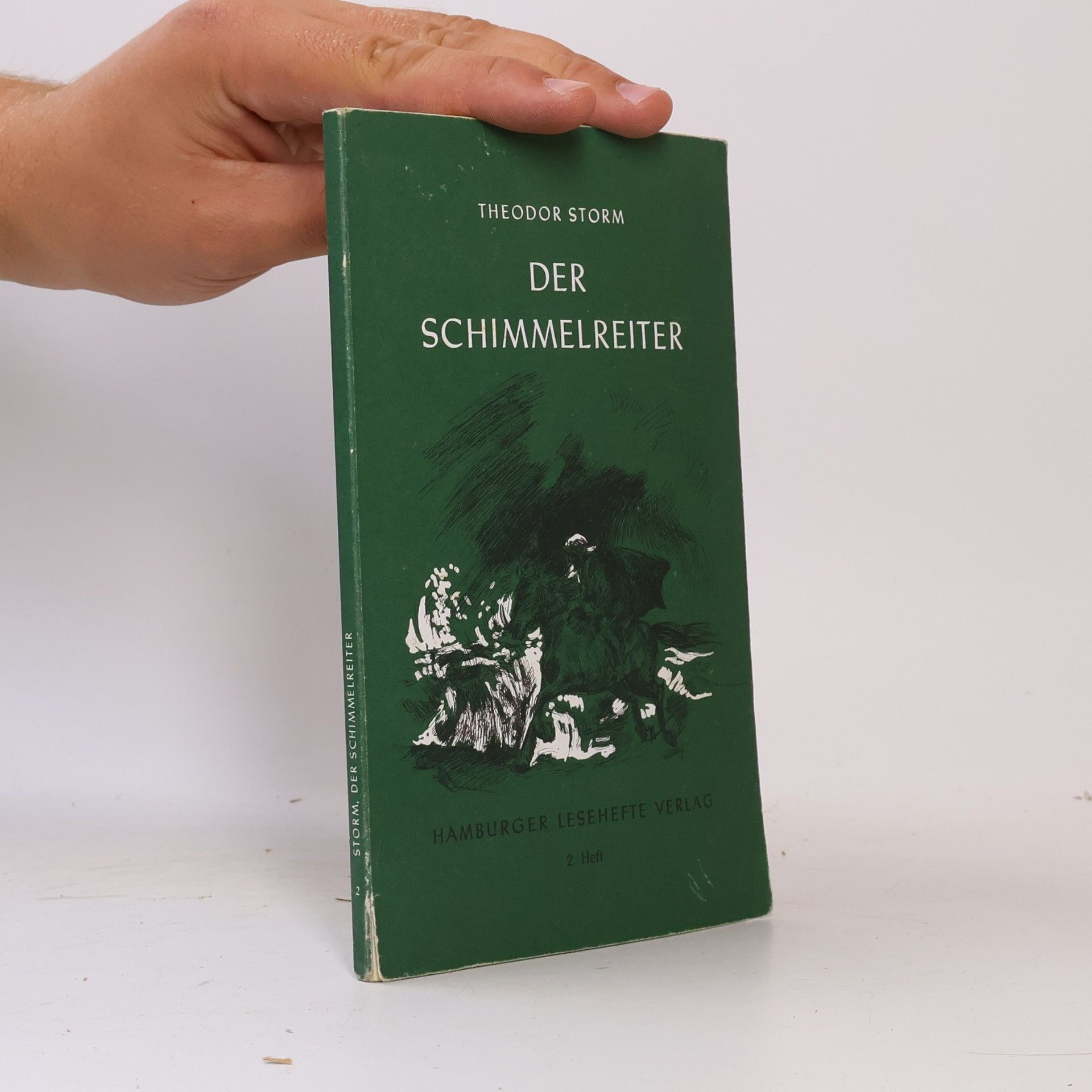 Theodor Storm Der Schimmelreiter