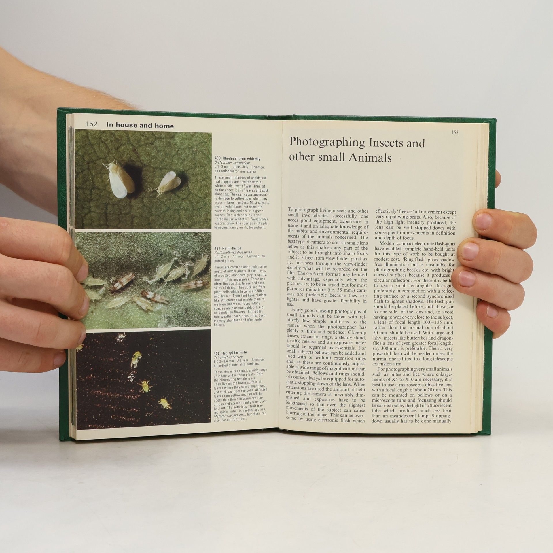 Ake Sandhall Insects and other invertebrates in colour