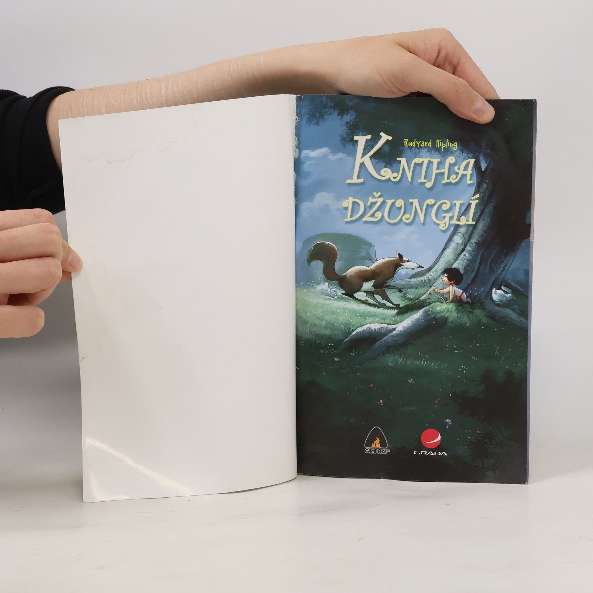 Amit Tayal Kniha džunglí