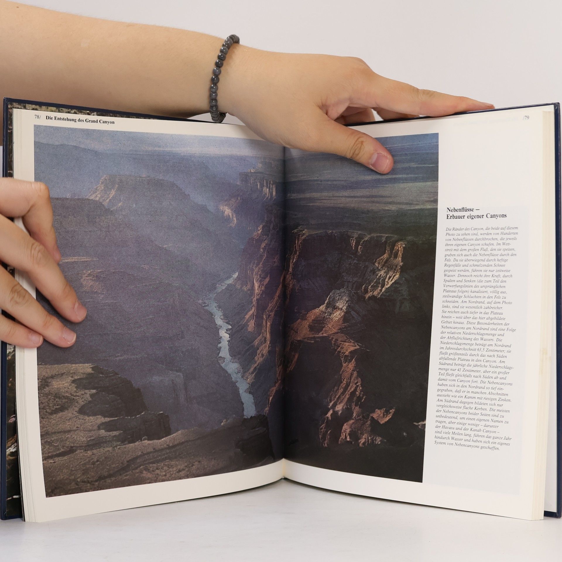 Collectif d'auteurs Der Grand Canyon