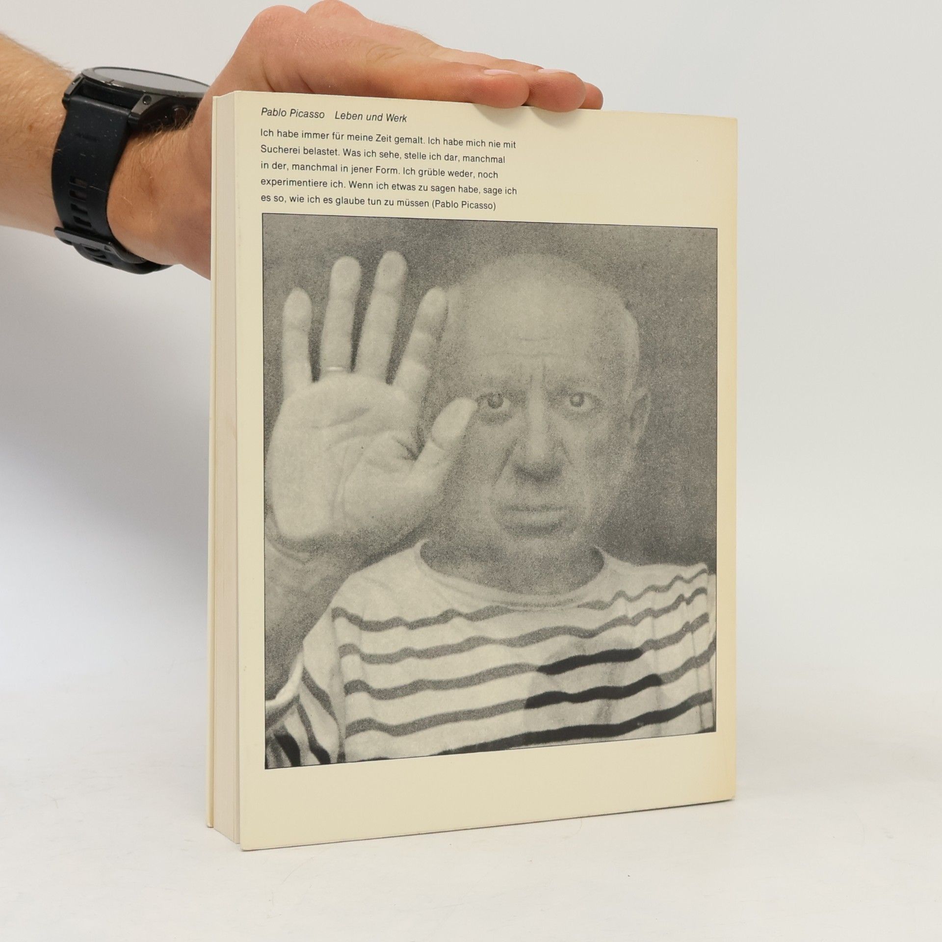 Felix Baumann Pablo Picasso