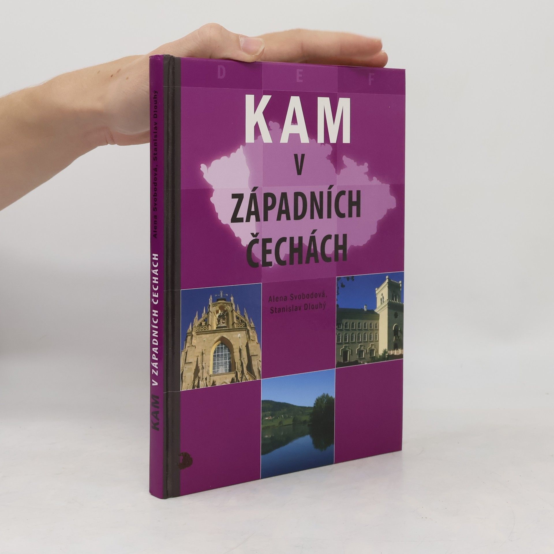 Stanislav Dlouhý Kam v západních Čechách