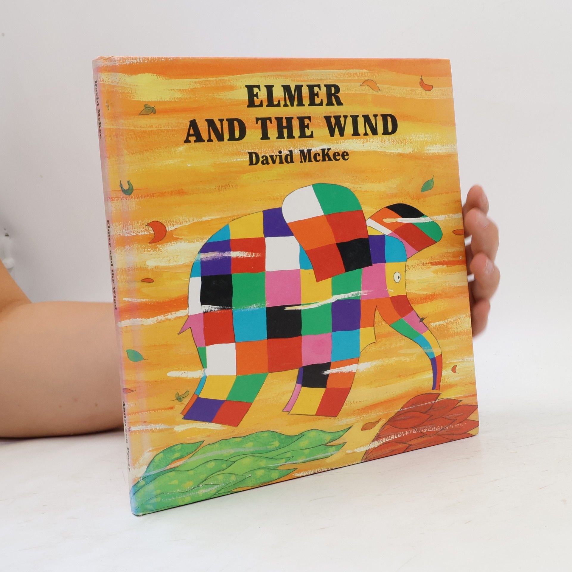 David McKee Elmer and the Wind