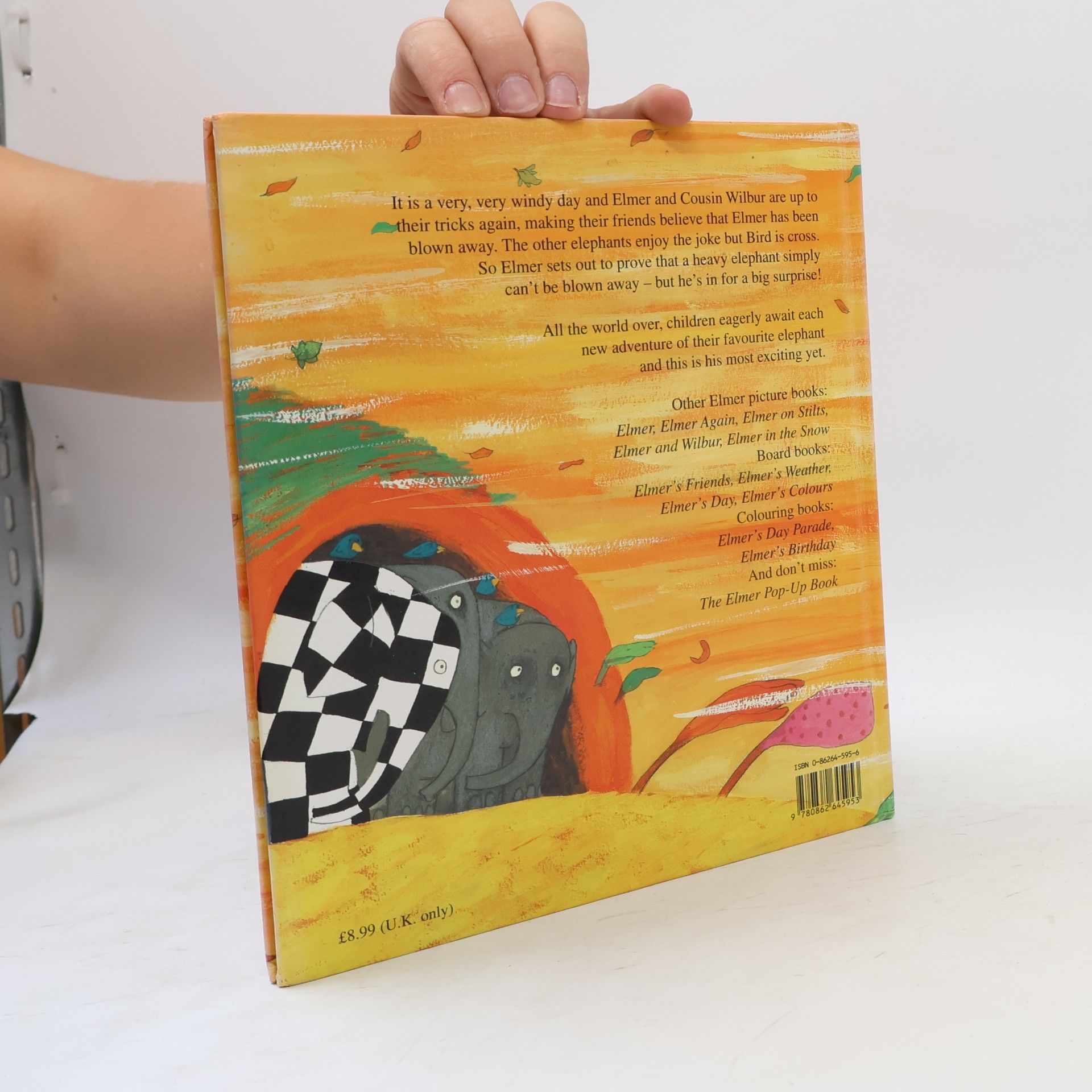 David McKee Elmer and the Wind
