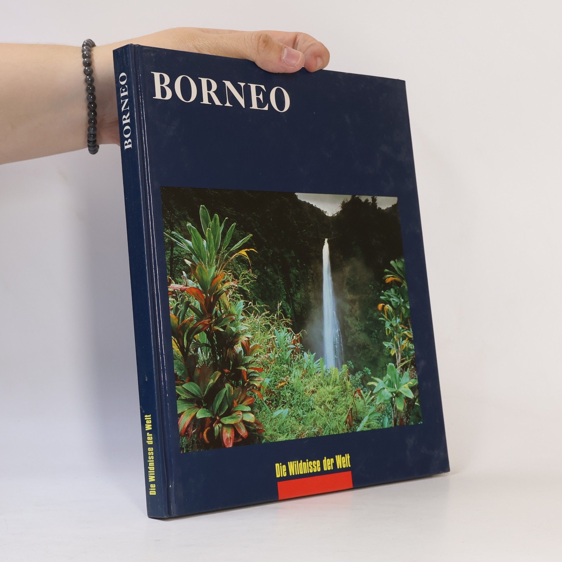 John Mackinnon Borneo. Die Wildnisse der Welt
