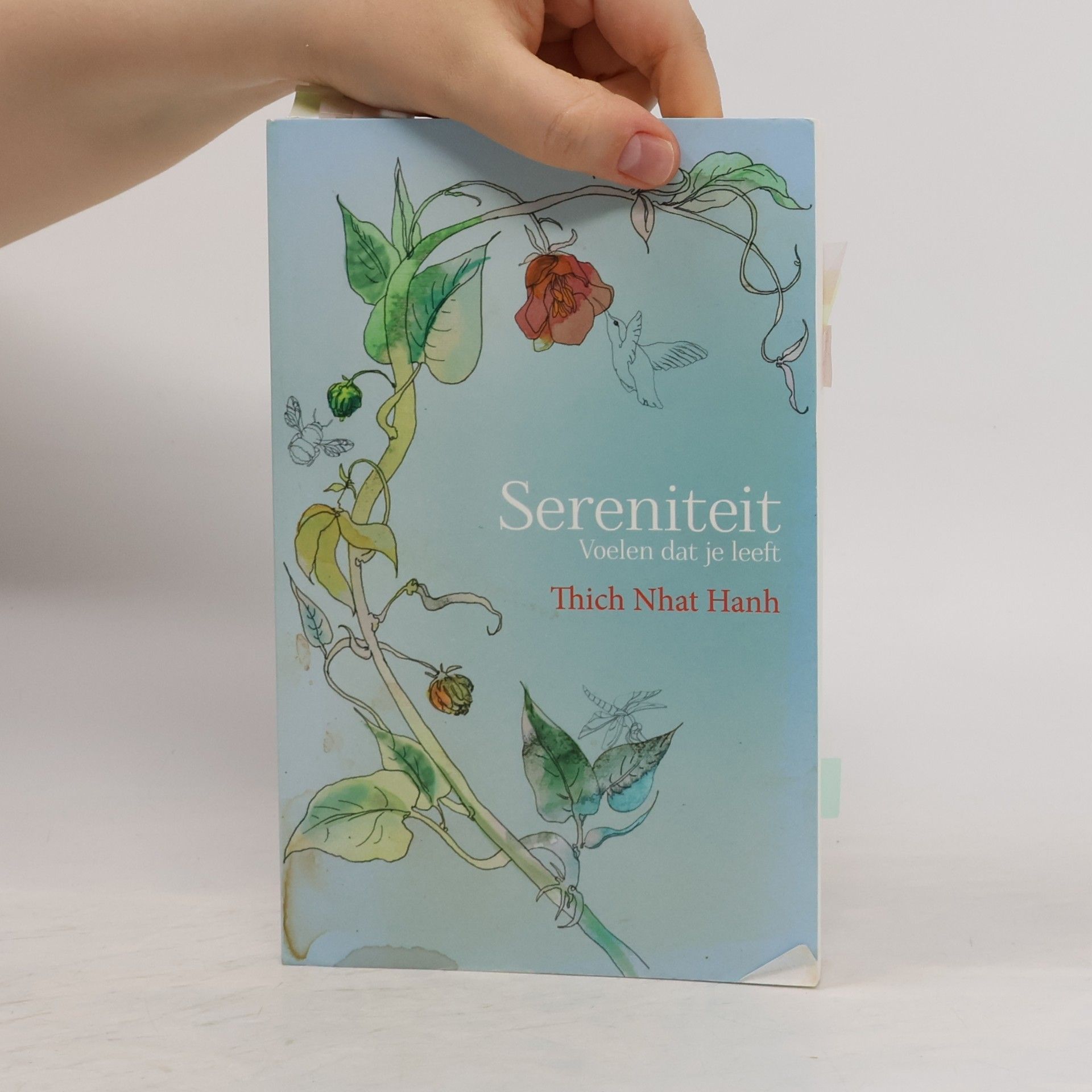 Thich Nhat Hanh Sereniteit
