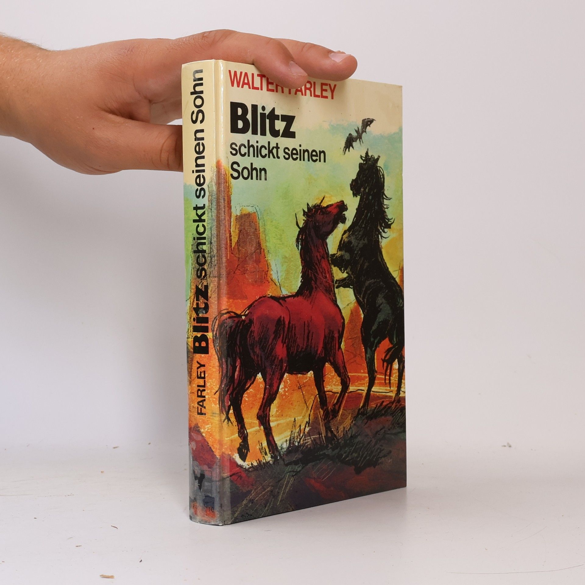 Walter Farley Blitz schickt seinen Sohn