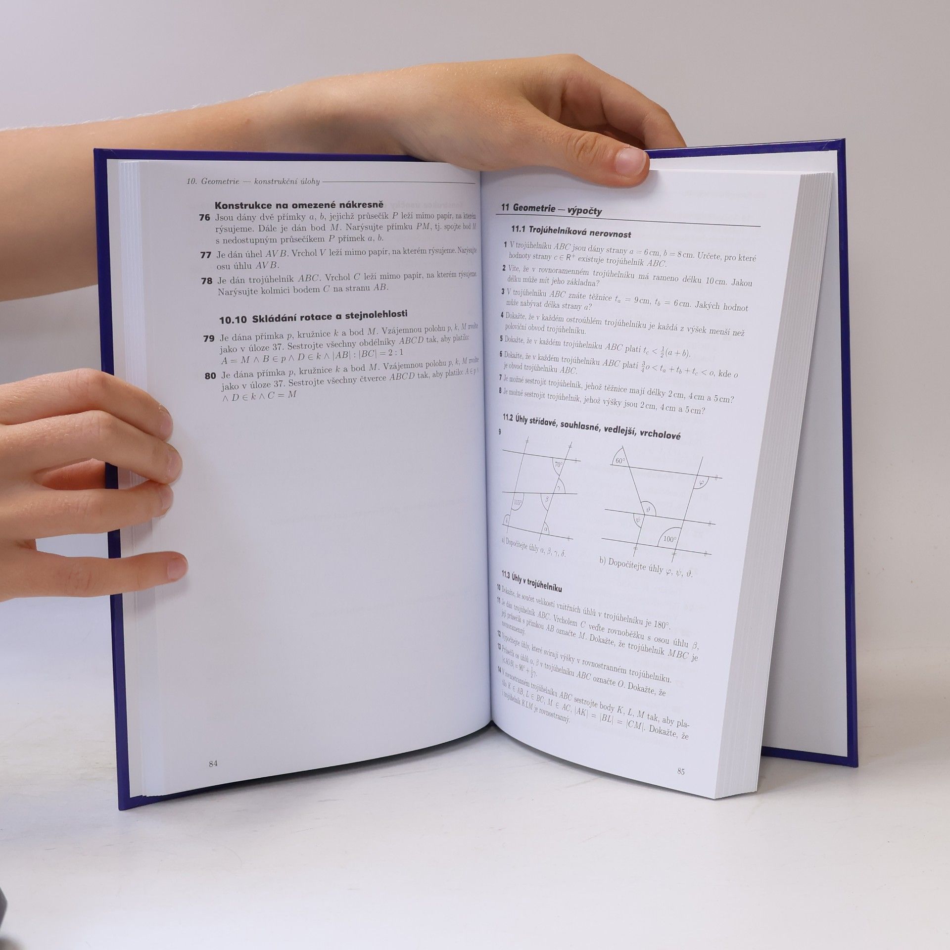 Petáková Jindra Matematika. Příprava k maturitě a k přijímacím zkouškám na vysoké školy