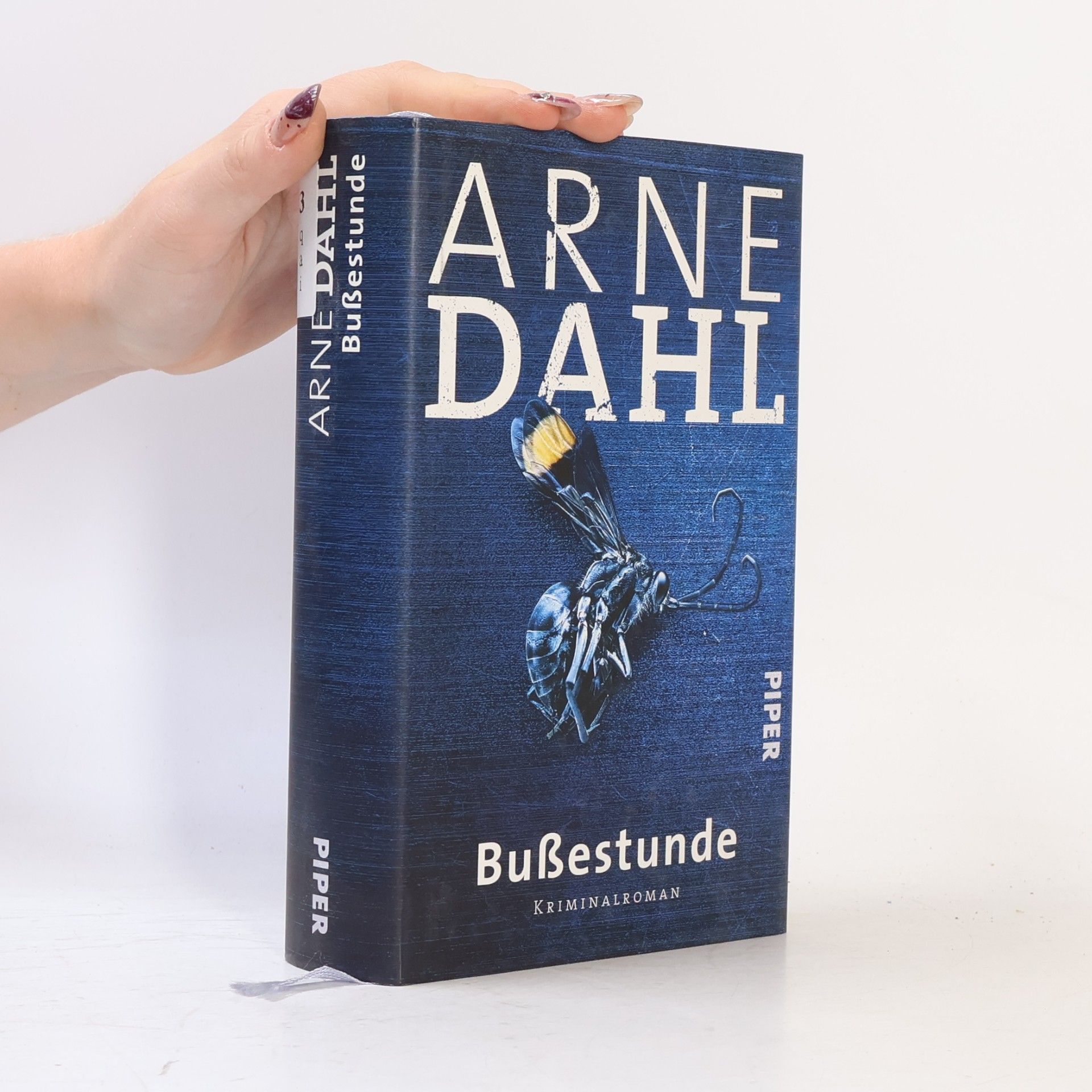 Arne Dahl Bußestunde