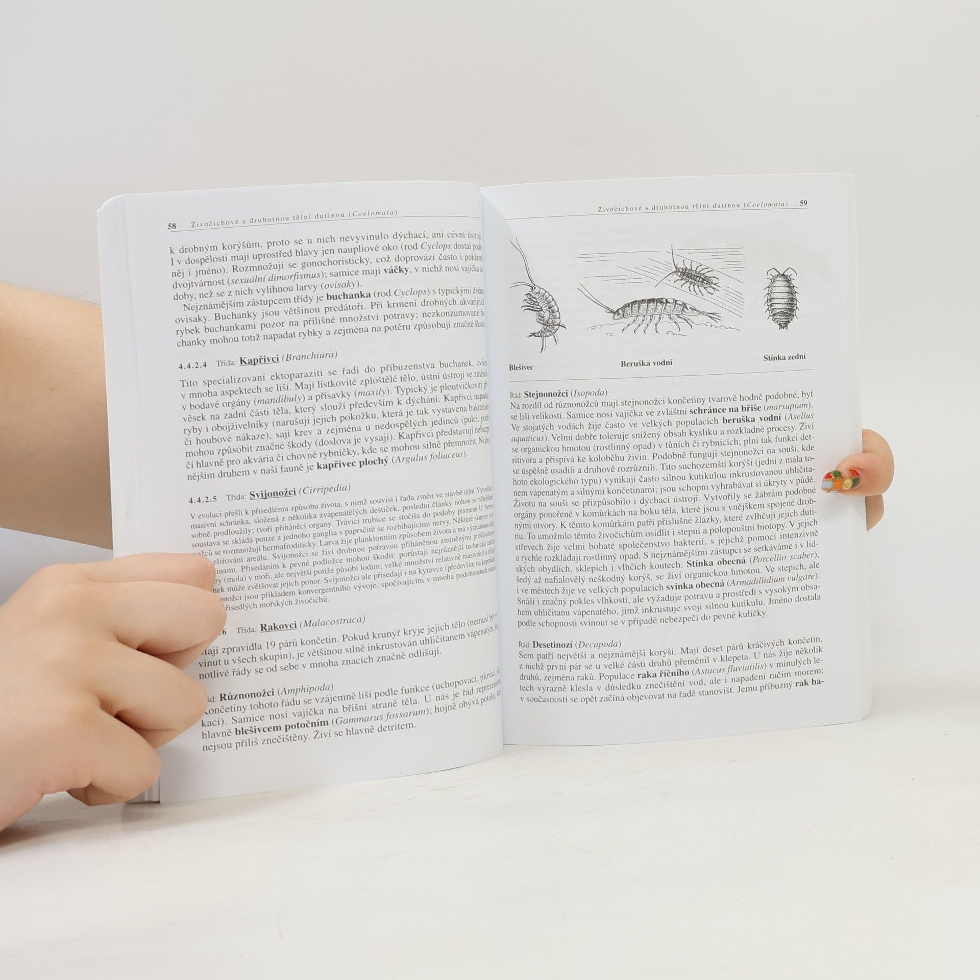 Miroslav Švátora Biologie živočichů pro gymnázia