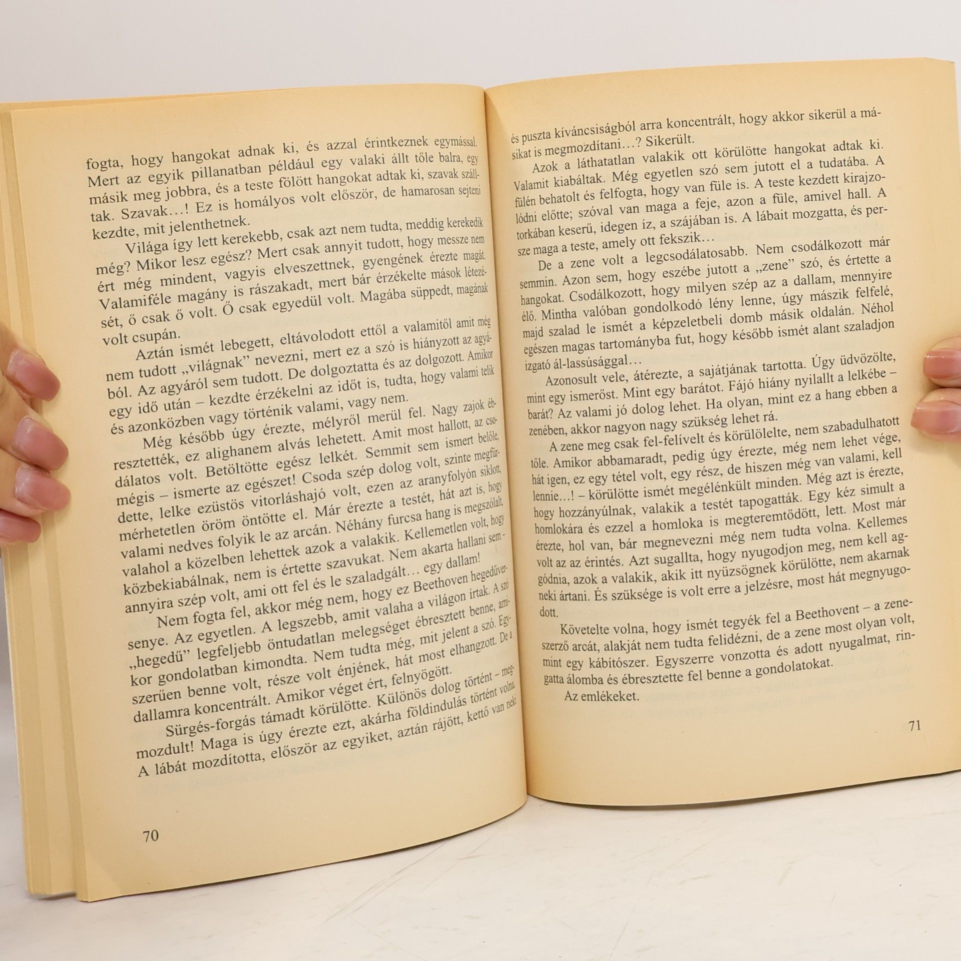 Autorenkollektiv The History Of Western Art