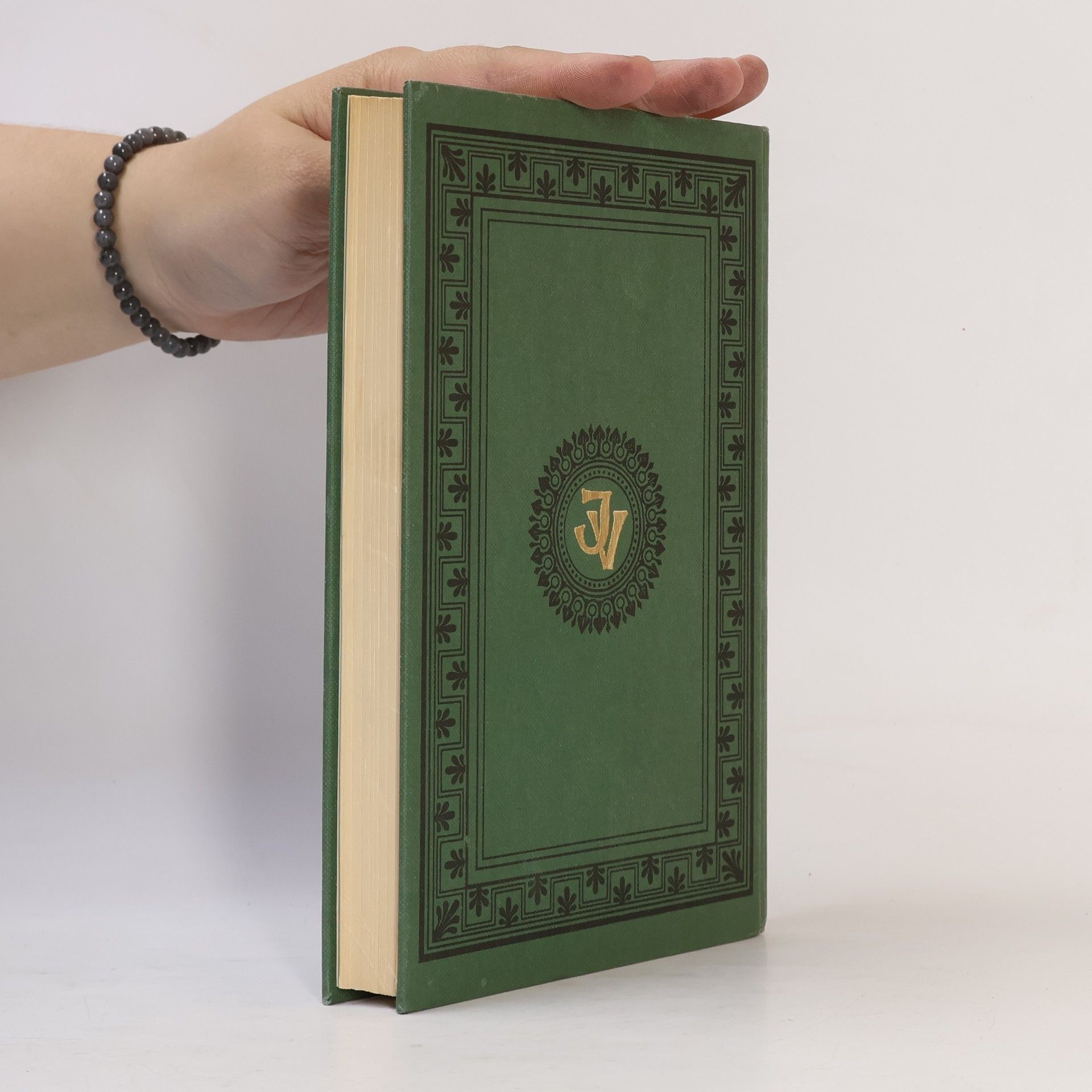 Jules Verne De Schrik van de Donau