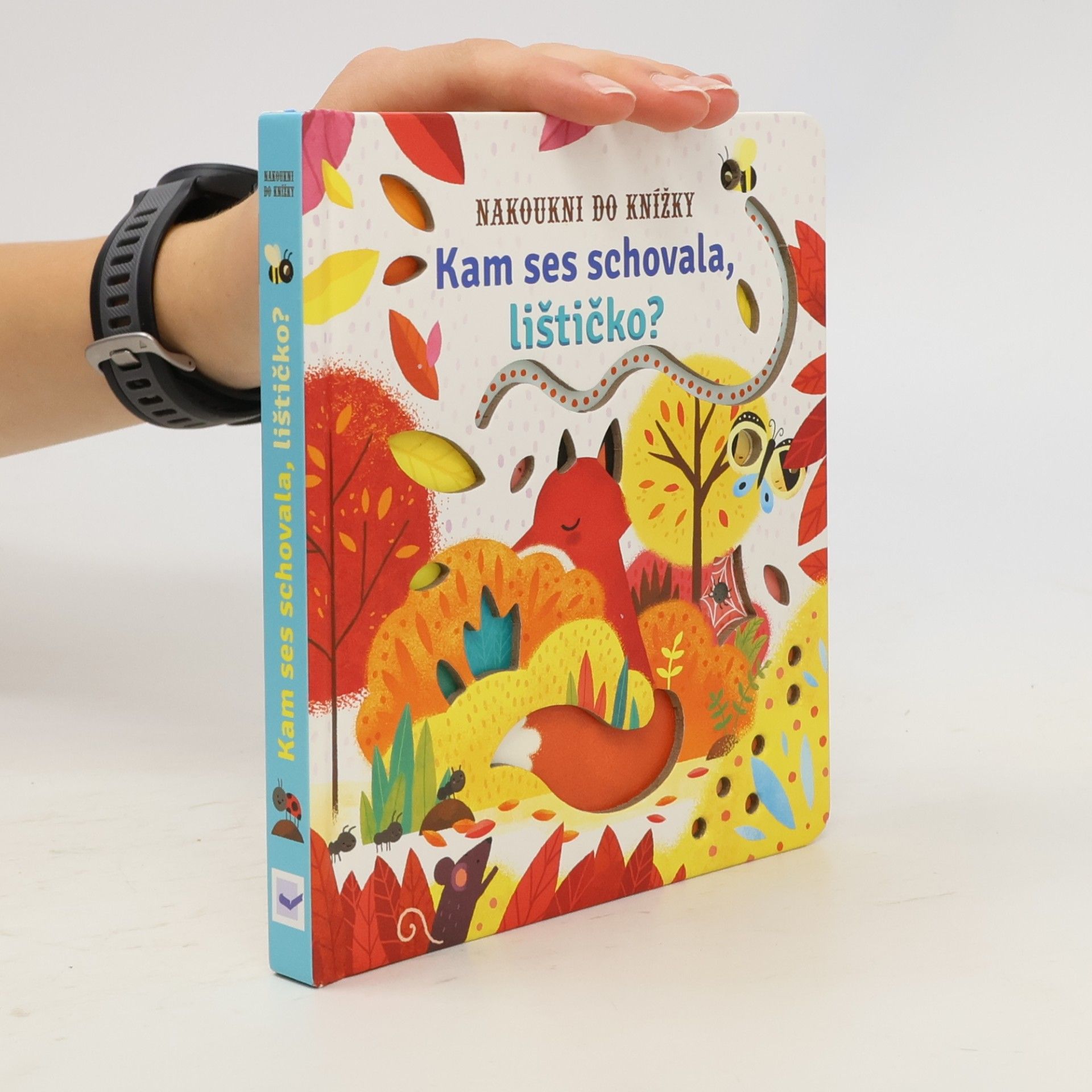Various authors Kam ses schovala, lištičko?