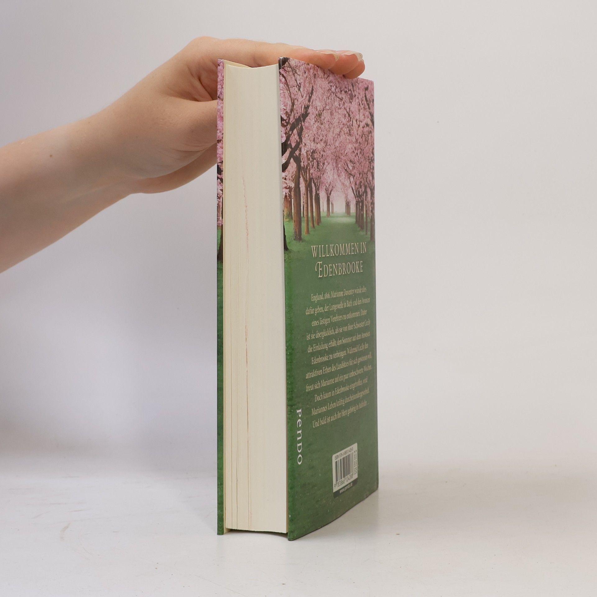 Julianne Donaldson Sommer in Edenbrooke