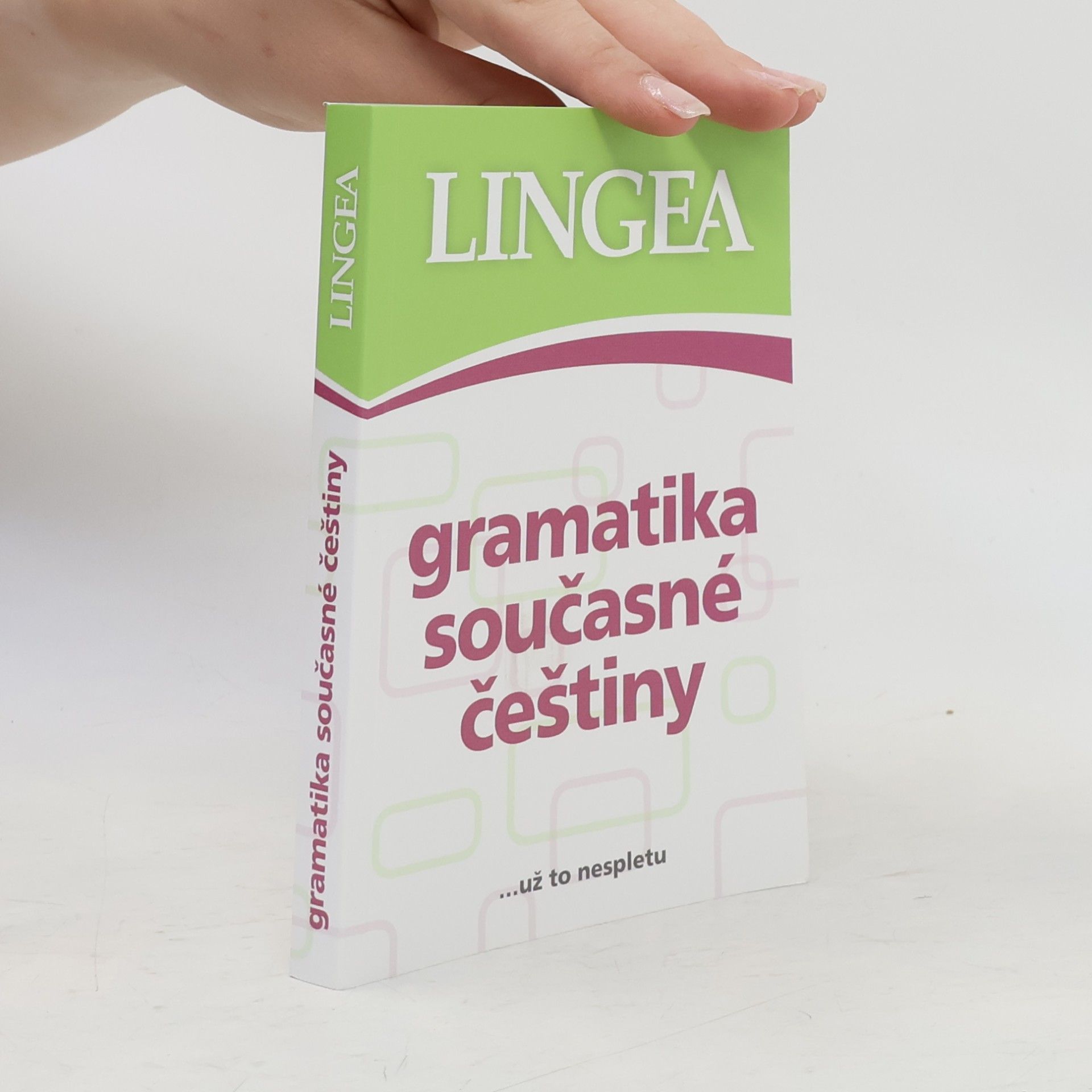 Autorenkollektiv Gramatika současné češtiny