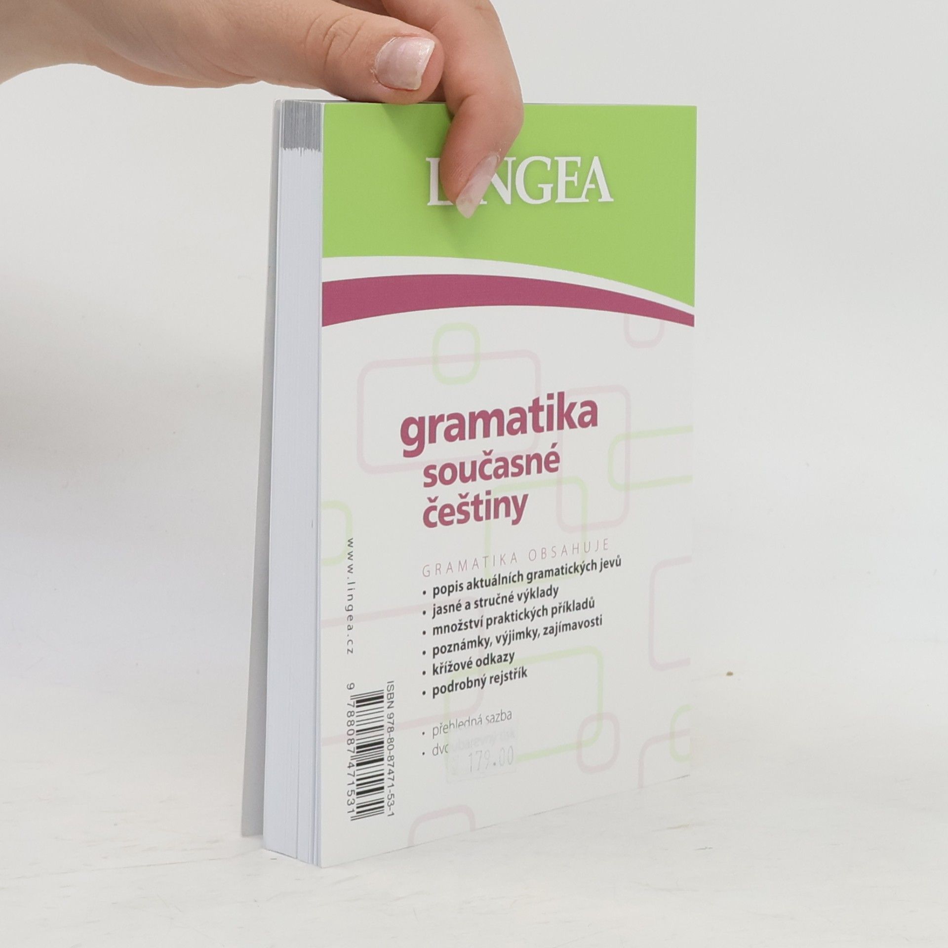 Autorenkollektiv Gramatika současné češtiny