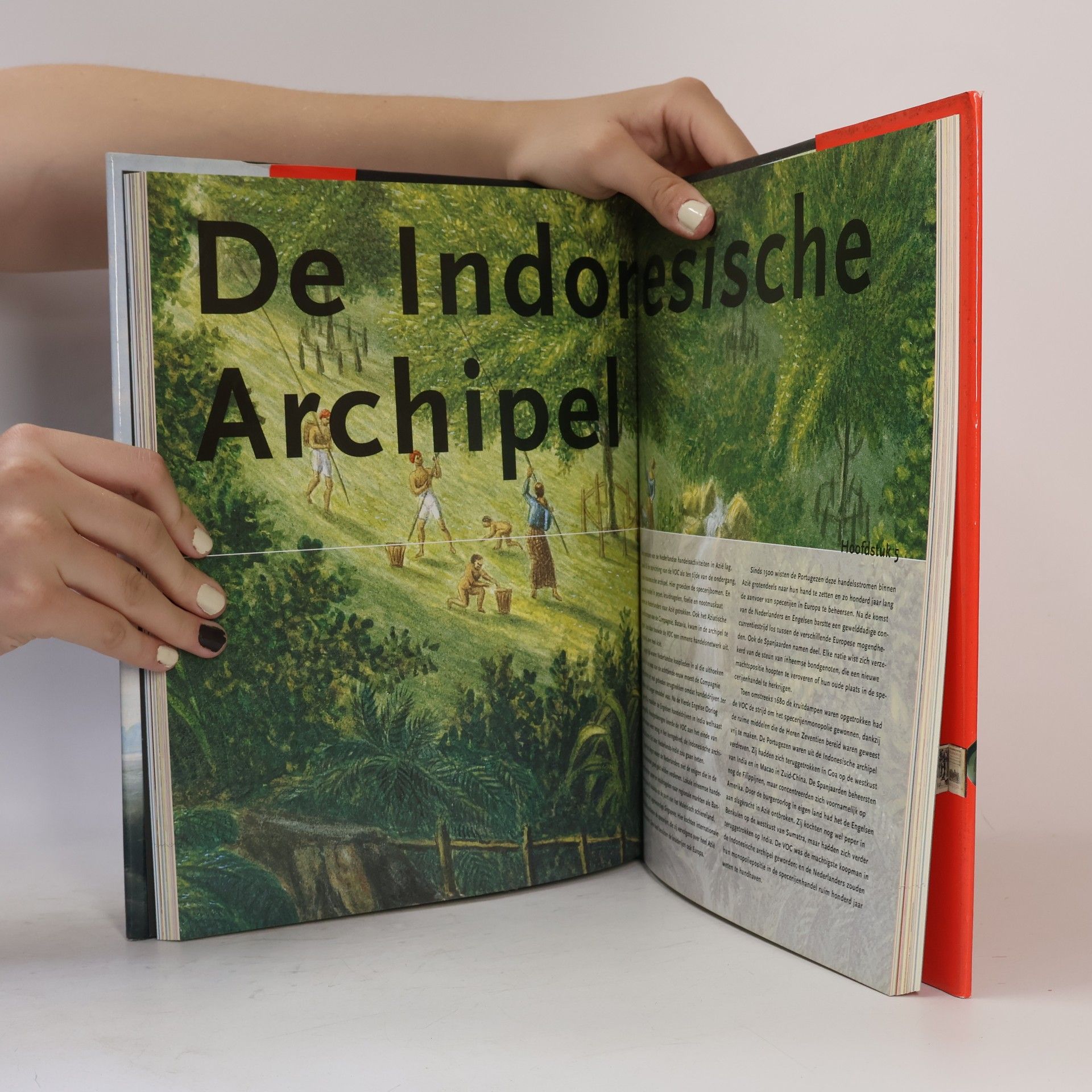 Els M. Jacobs De kleurrijke wereld van de VOC