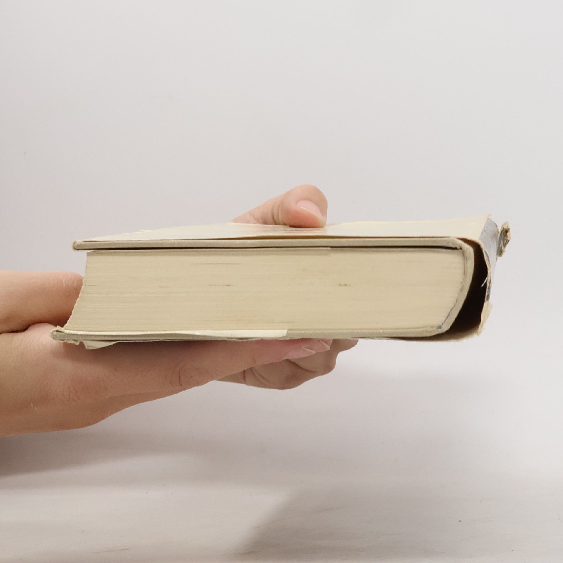 Harriet Lundblad Die reiterin