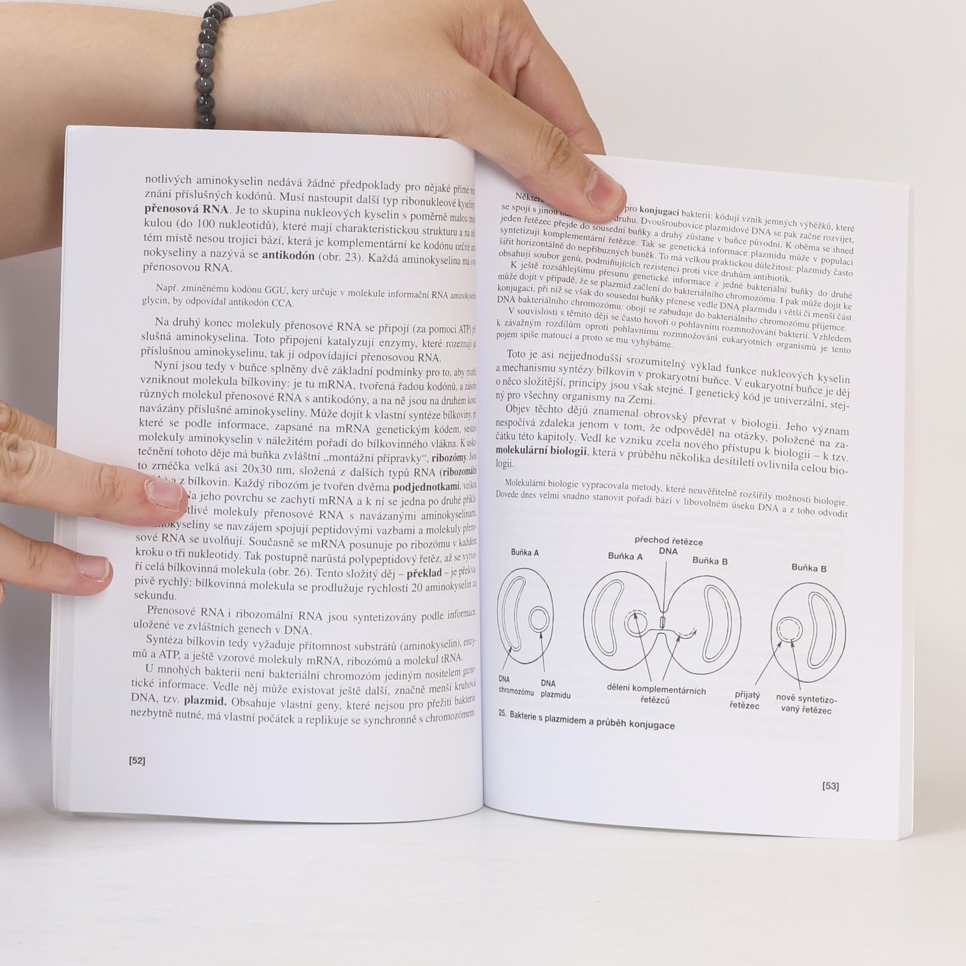 Václav Kubišta Obecná biologie. Úvodní učební text biologie pro 1. ročník gymnázií