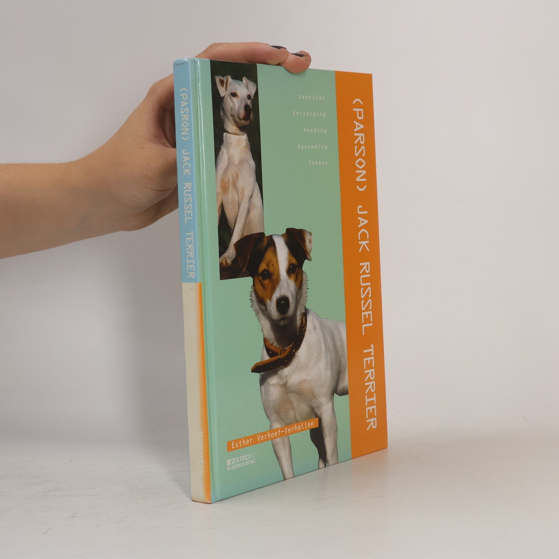 (Parson) Jack Russel terrier