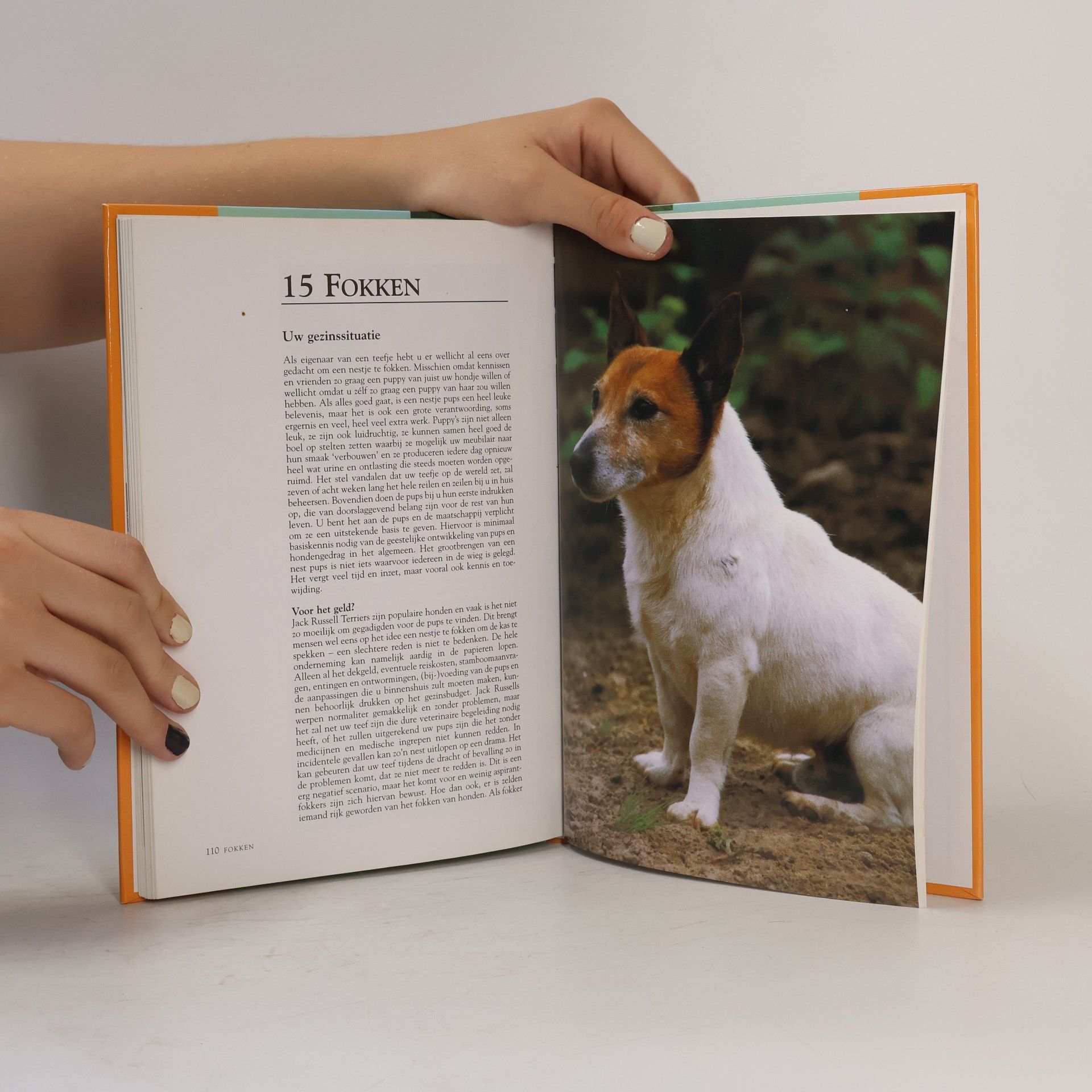 Esther J. J. Verhoef-Verhallen (Parson) Jack Russel terrier