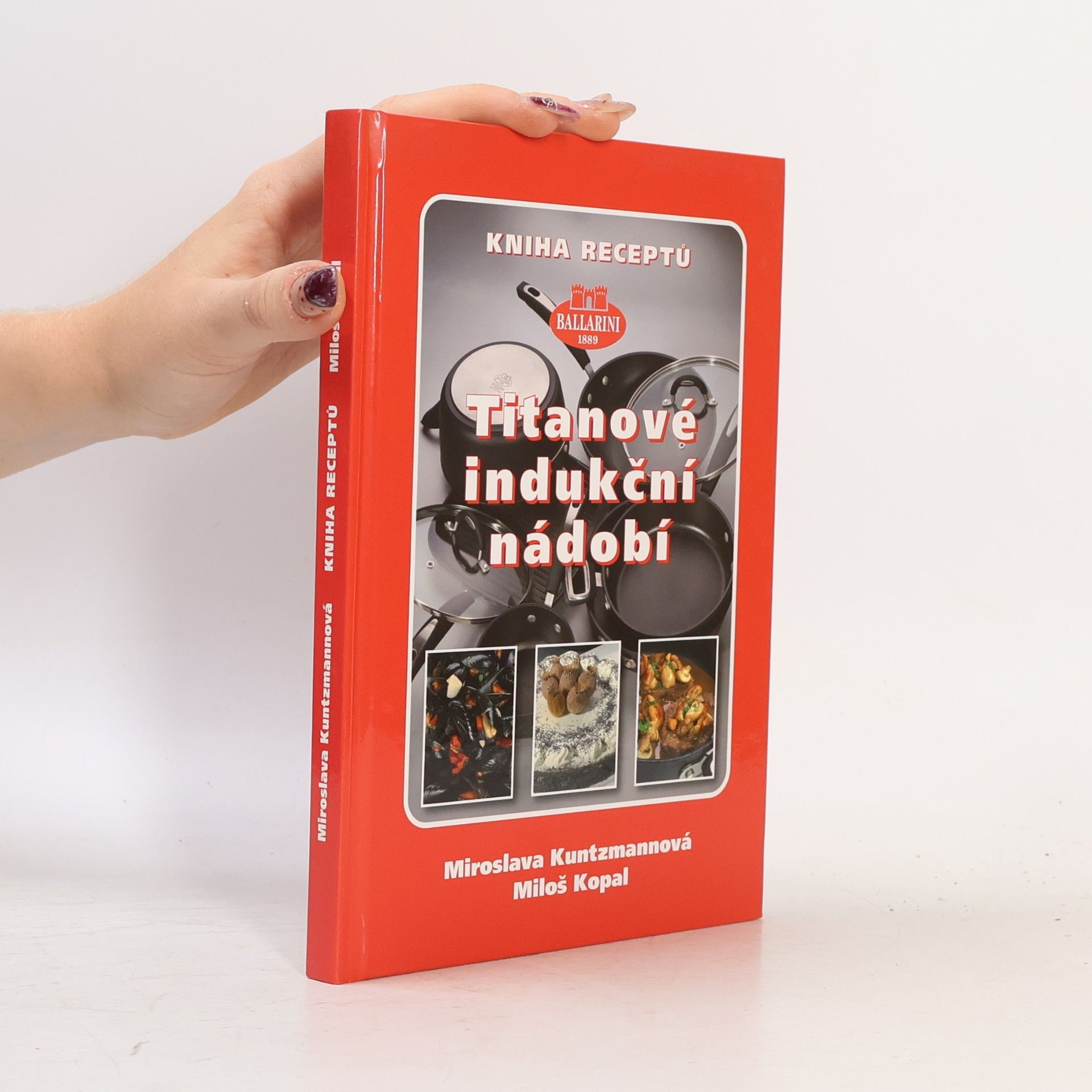 Titanové indukční nádobí