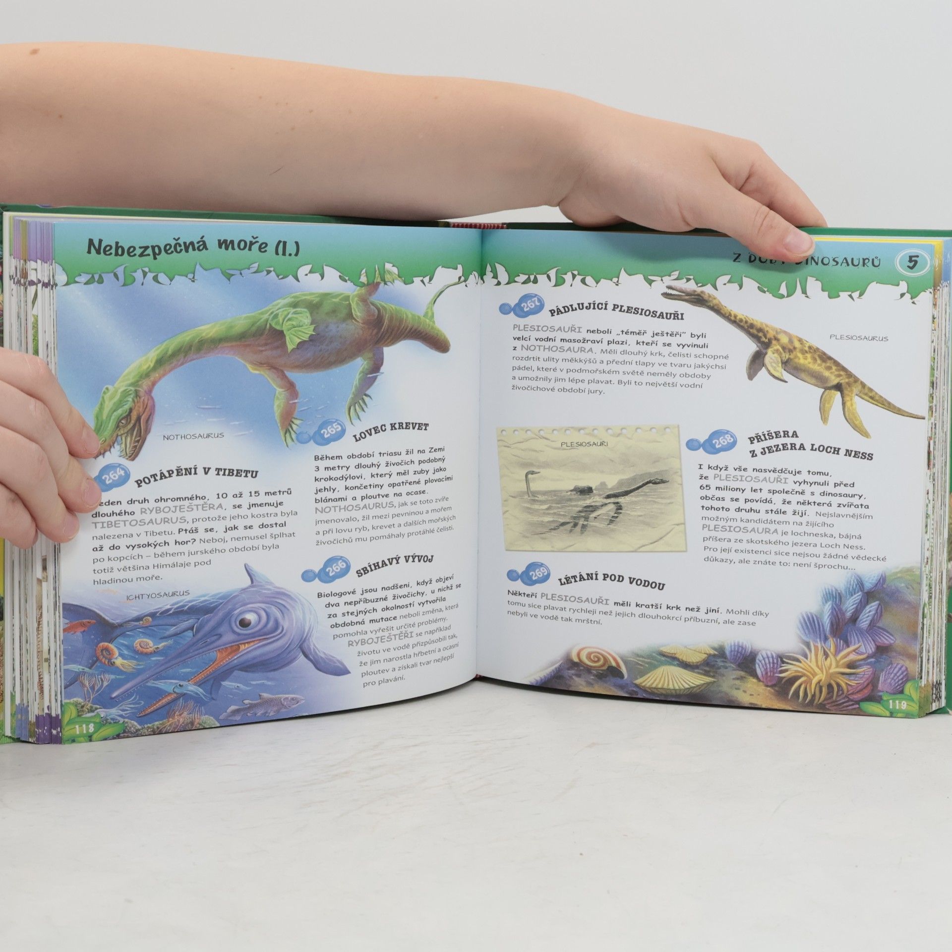 Autorenkollektiv Dinosauři - 501 otázek a odpovědí