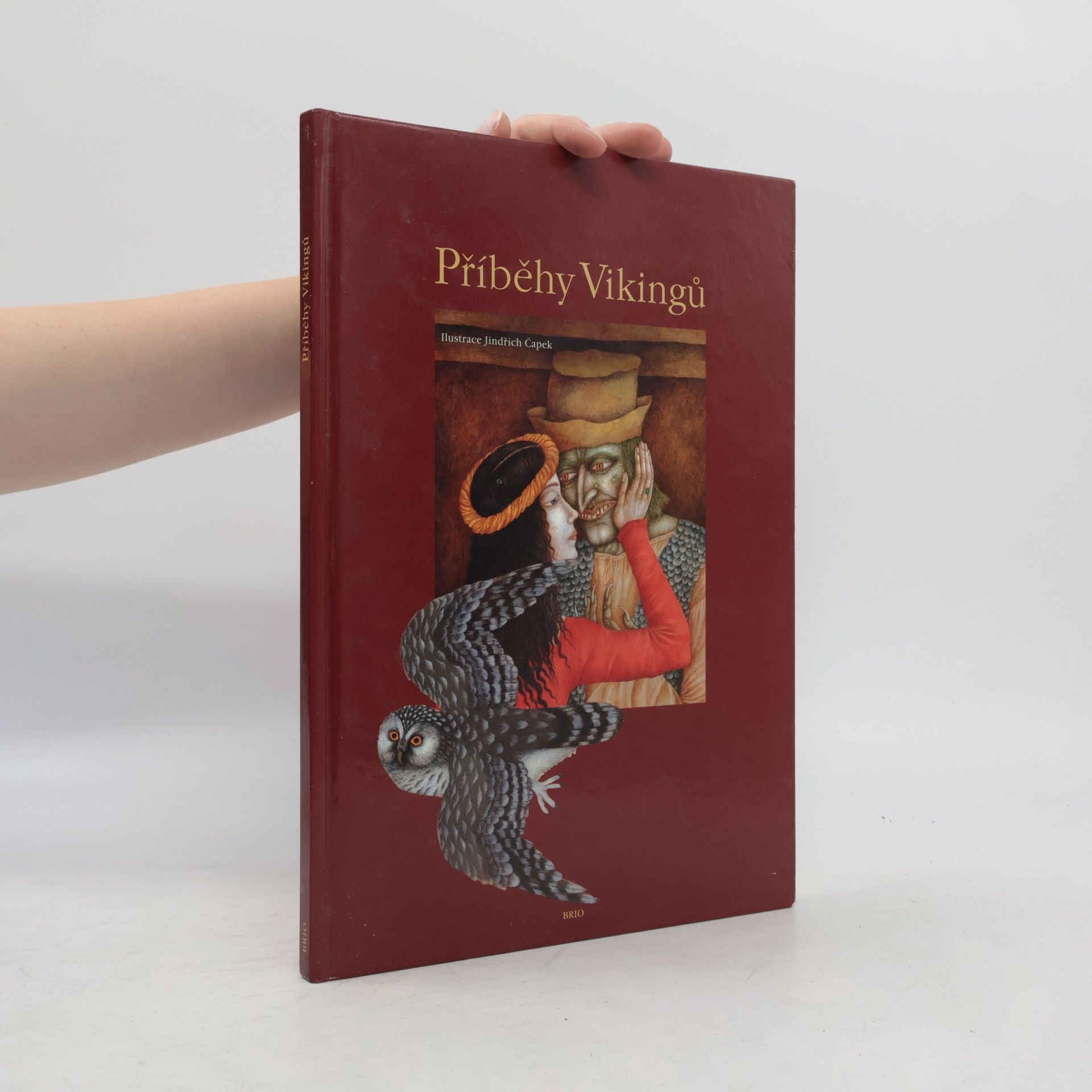 Veronika Dudková Příběhy Vikingů