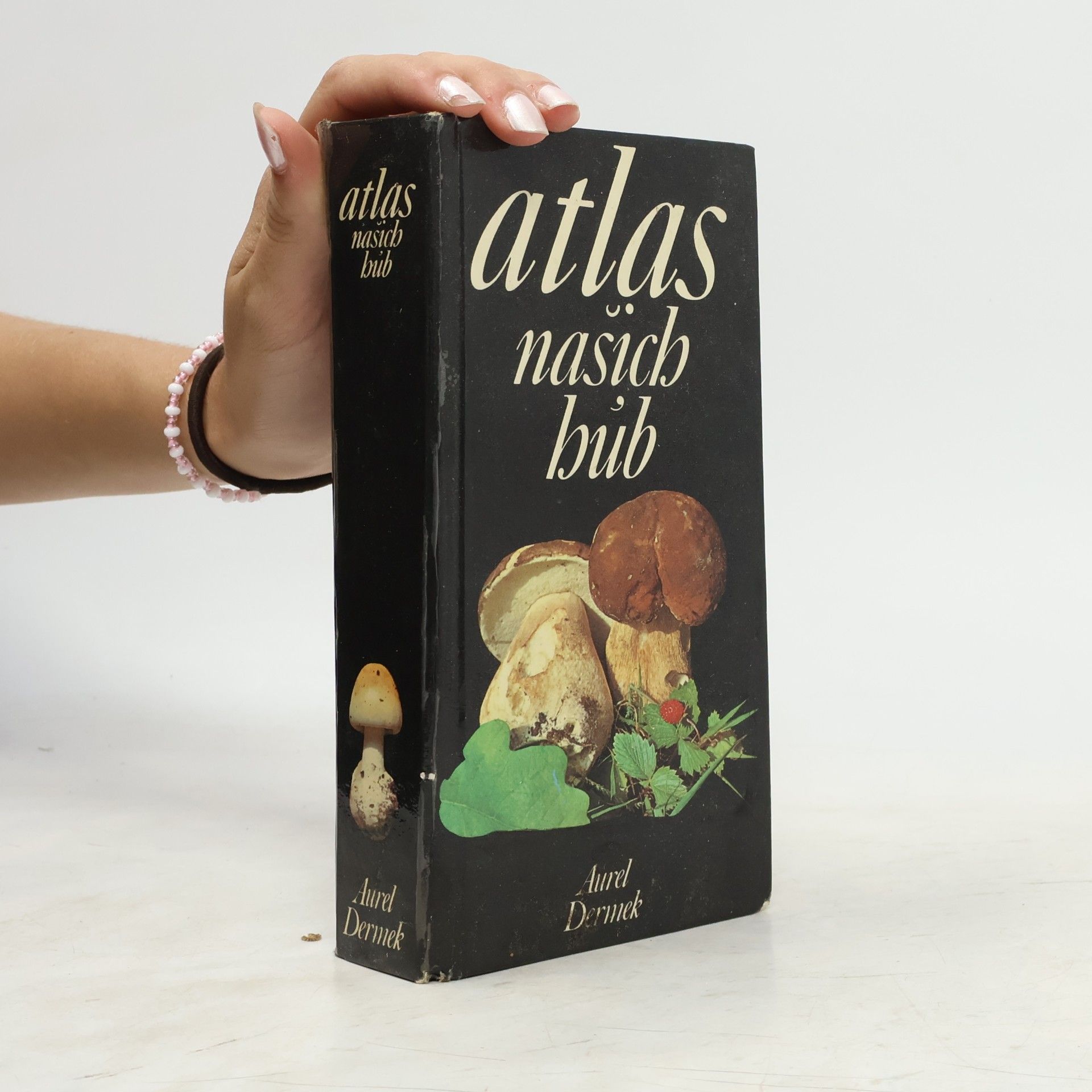 Aurel Dermek Atlas našich húb