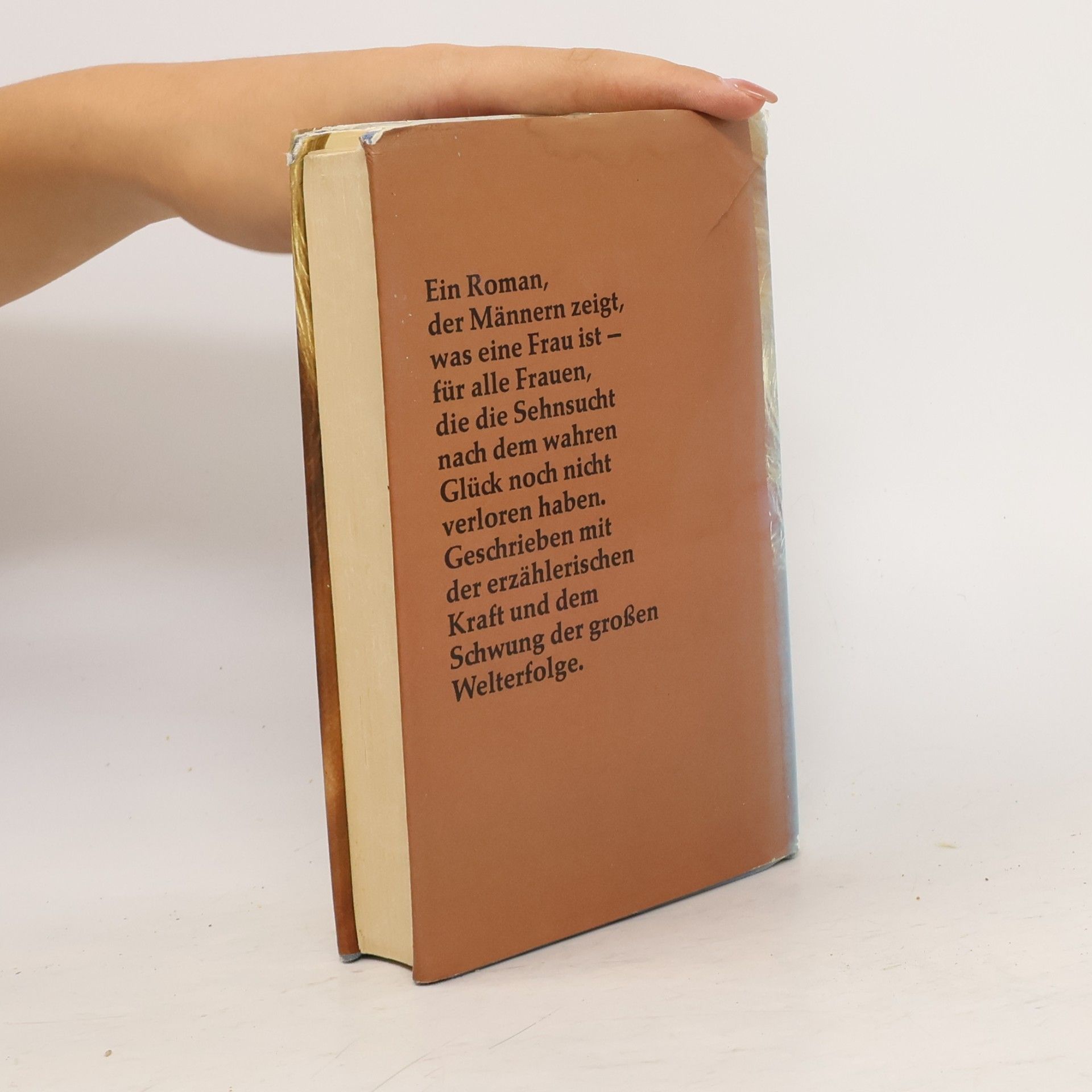 Harold Robbins Sehnsucht