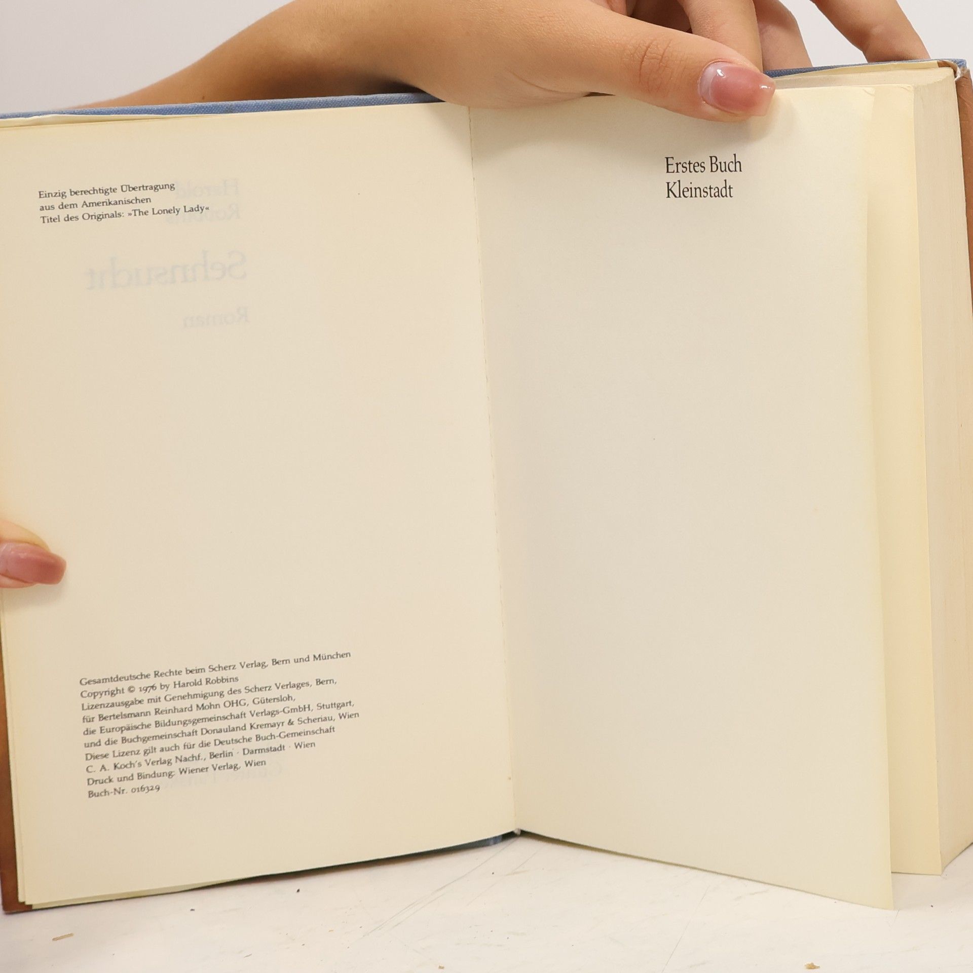 Harold Robbins Sehnsucht