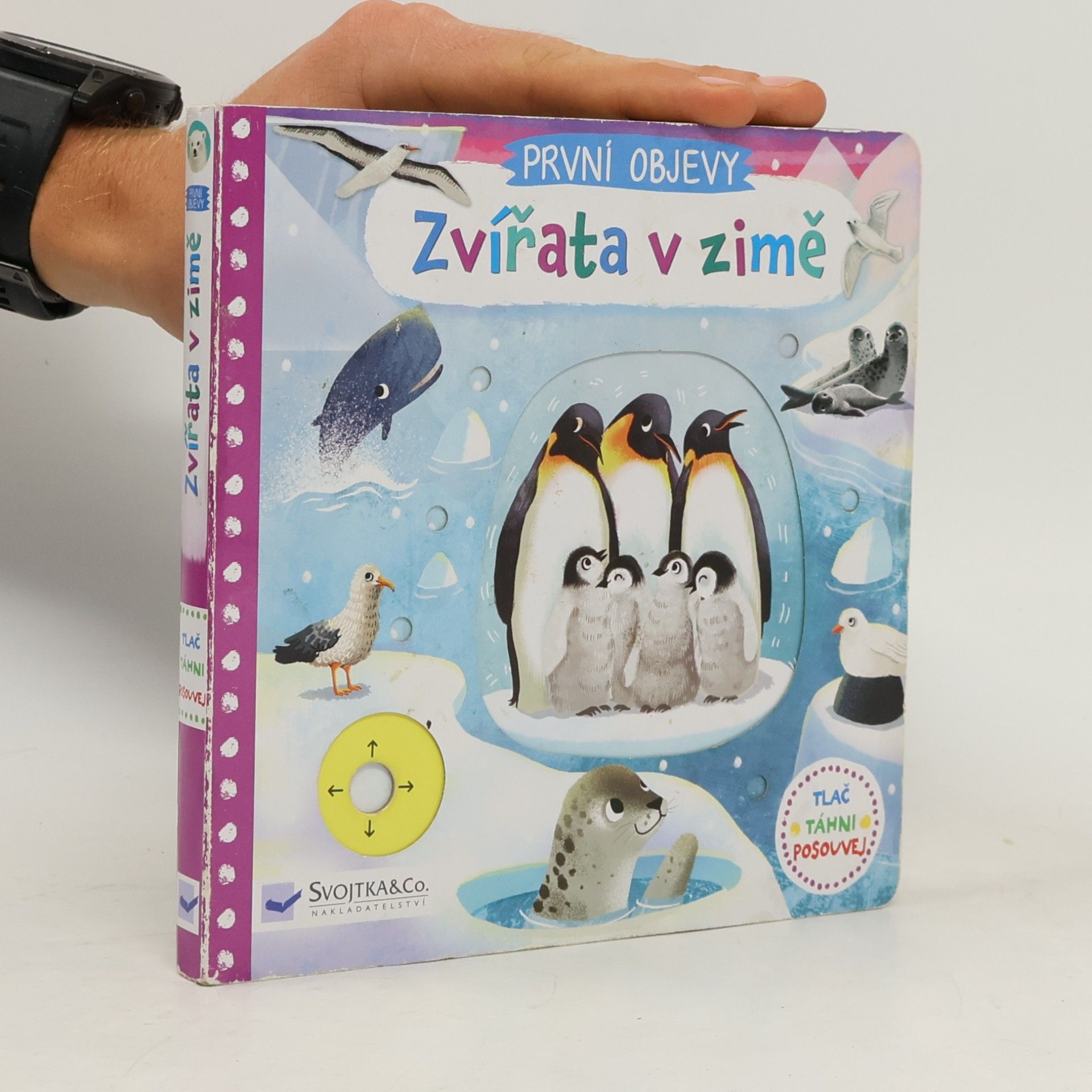 Jenny Wren První objevy: Zvířata v zimě