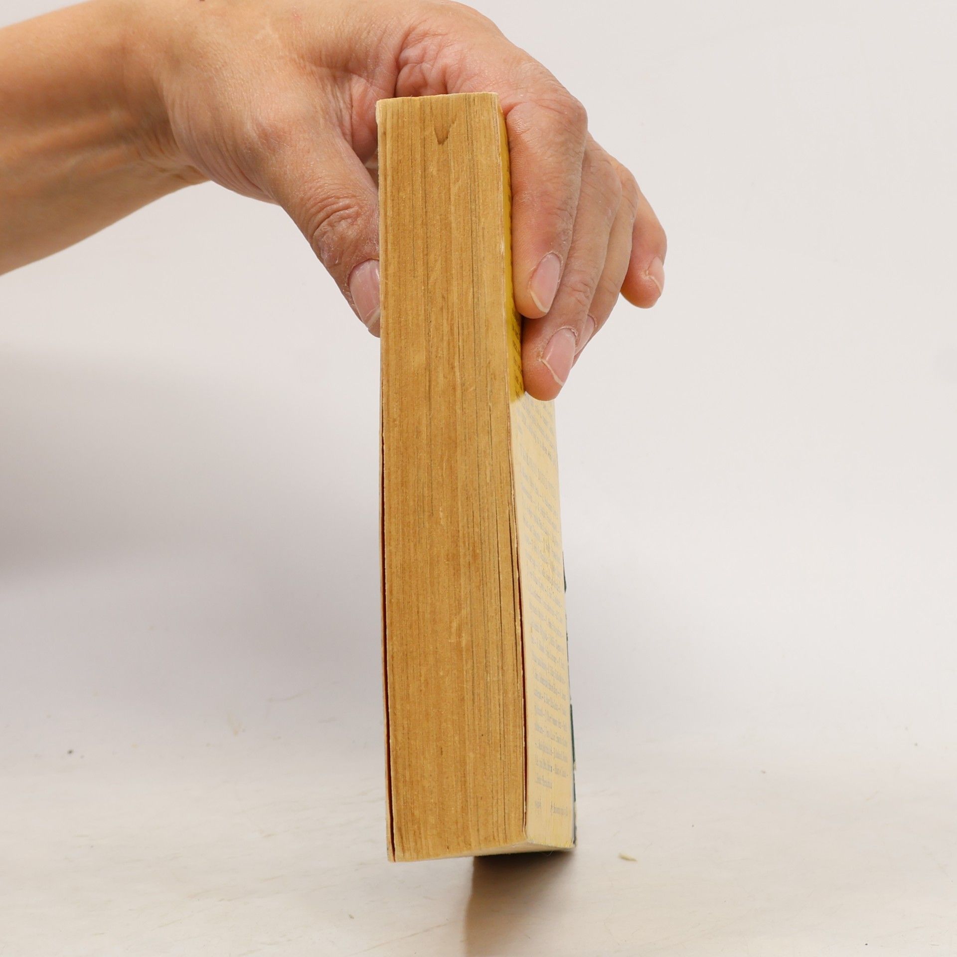 Jules Verne Cesta do středu Země