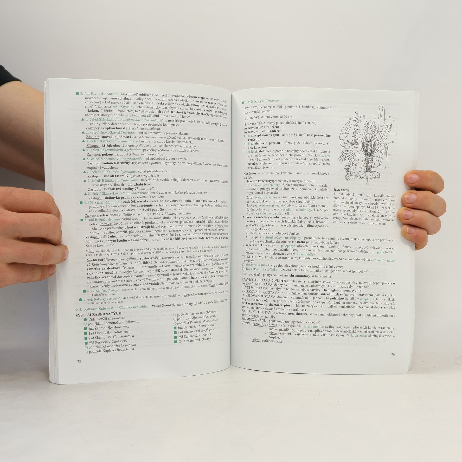 Hana Hančová Biologie v kostce: Pro střední školy. 2. díl