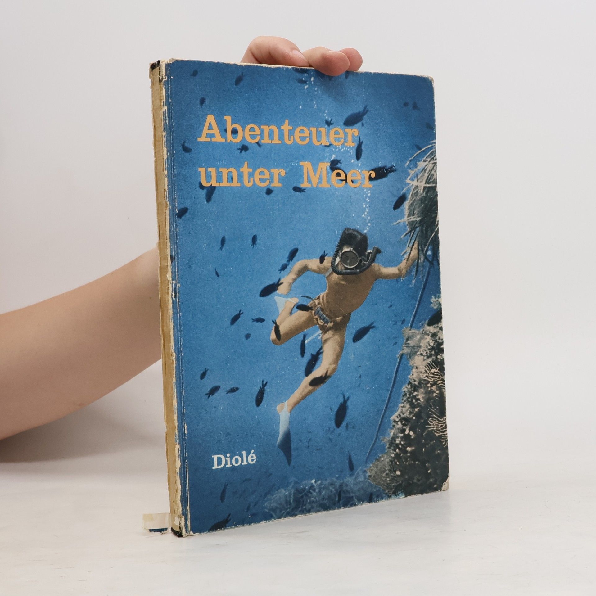 kolektiv Abenteuer unter Meer