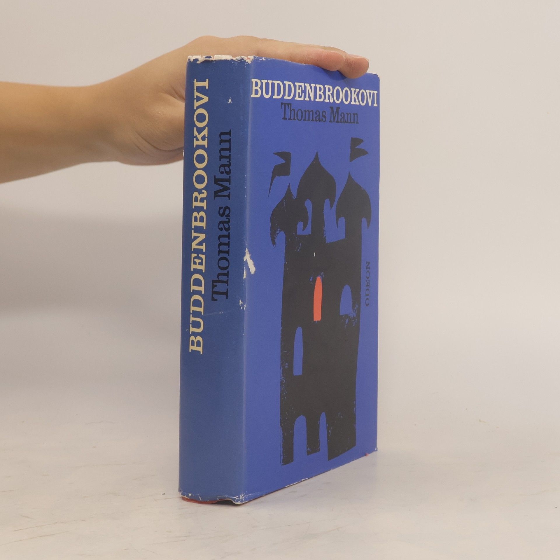 Thomas Mann Buddenbrookovi